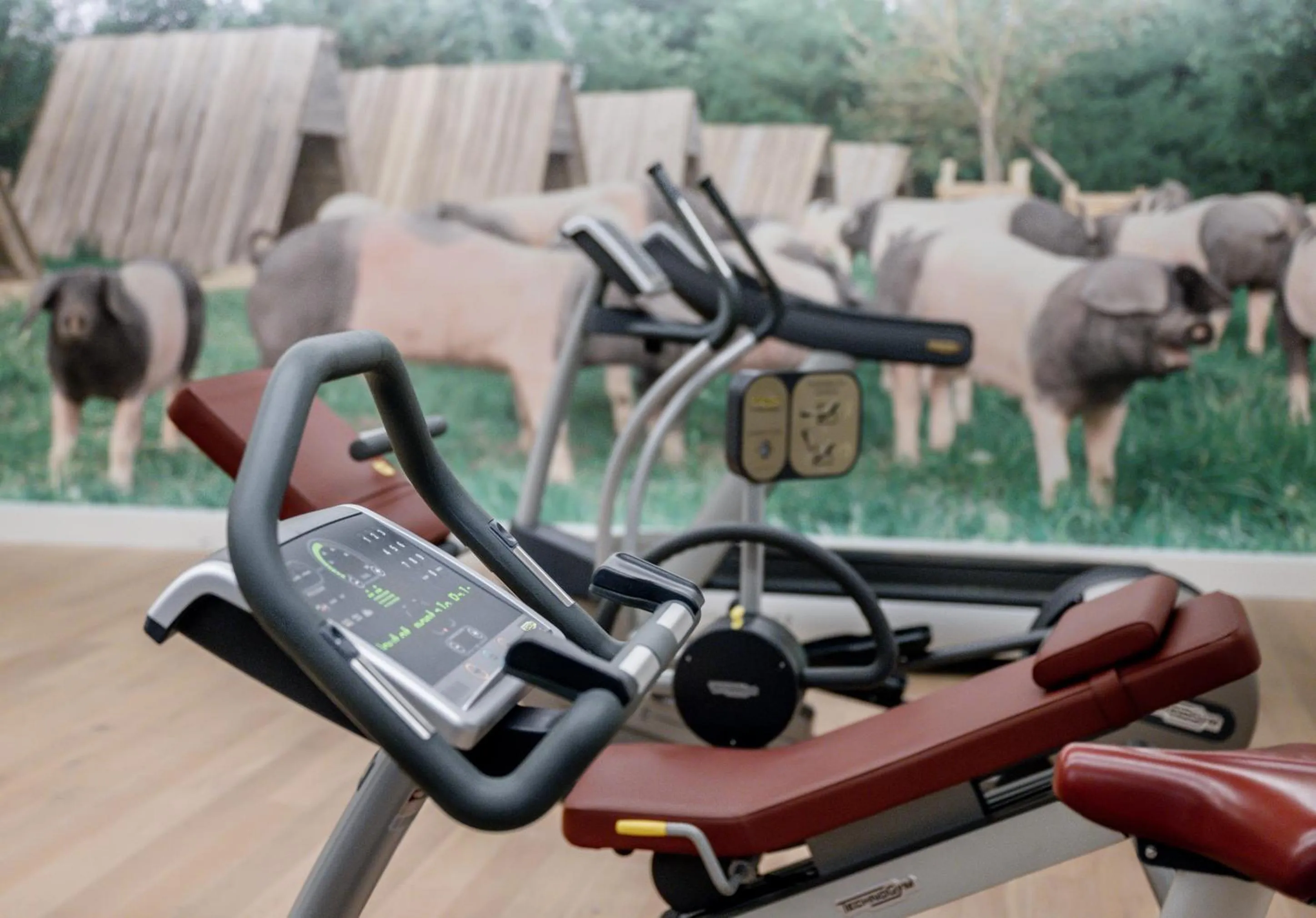 Fitness centre/facilities in WITTMANNs