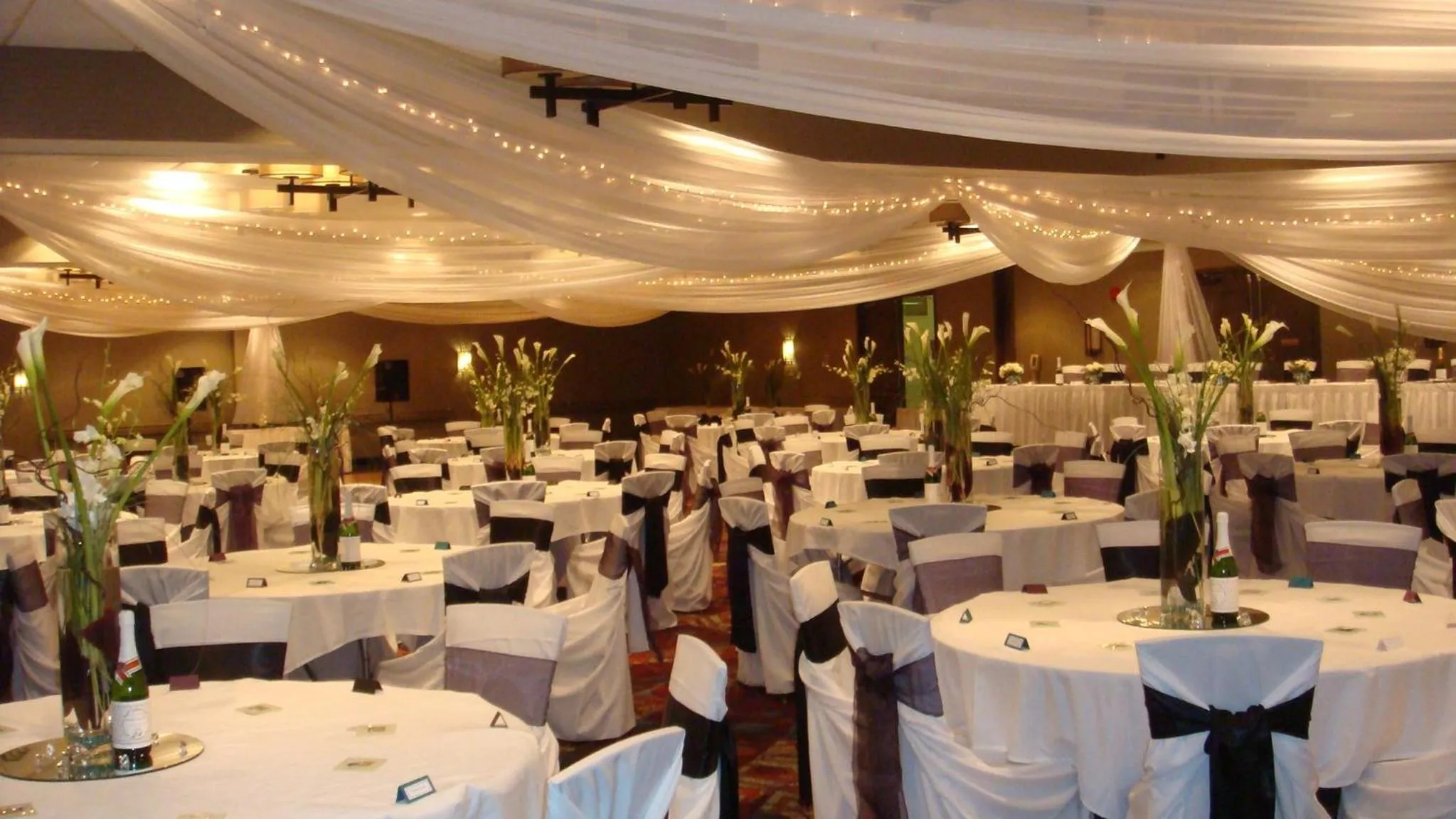 Banquet/Function facilities in Crowne Plaza Suites MSP Airport - Mall of America by IHG