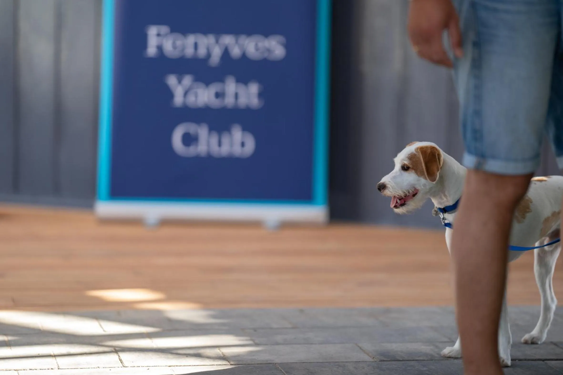 Fenyves Yacht Club Superior