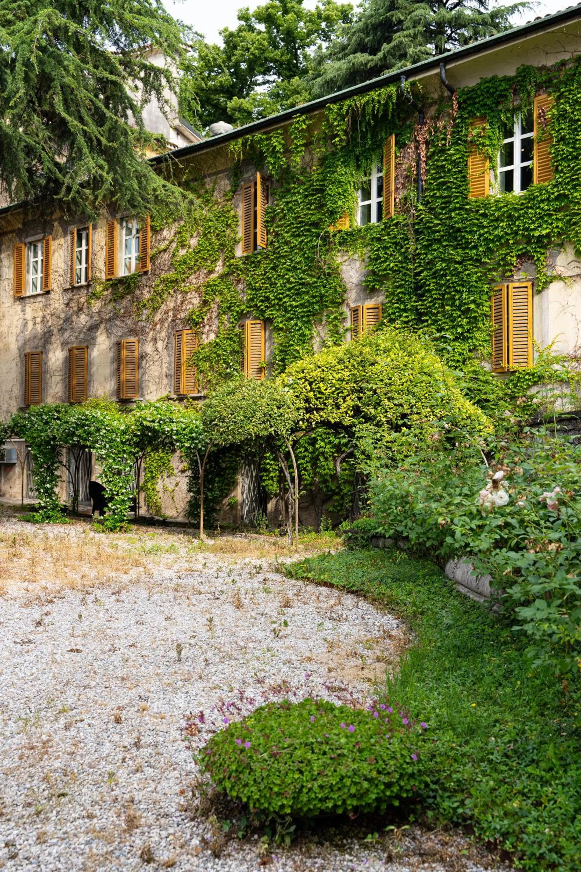 Garden in Hotel San Pancrazio