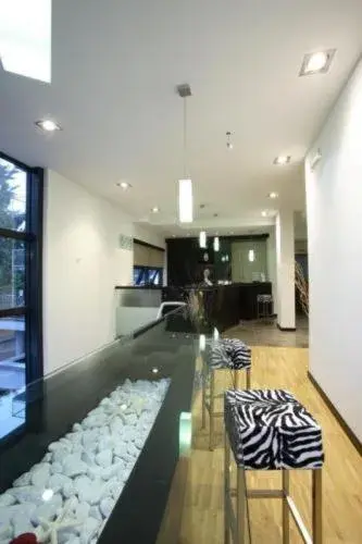 Lounge or bar in San Marco Lounge or bar in San Marco