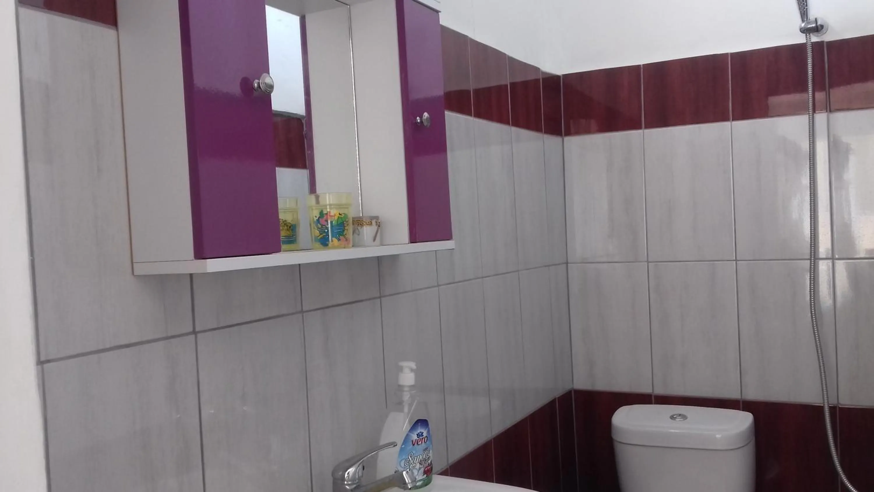 Toilet in Vila Florand Sela