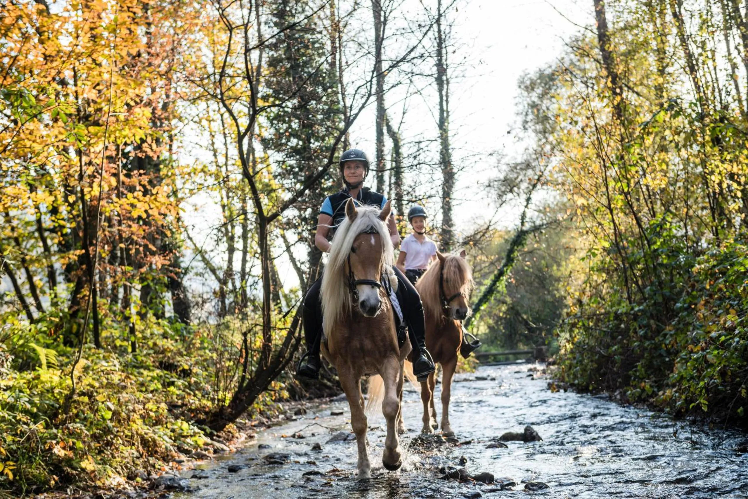 Horse-riding in Stroblhof Active Family Spa Resort