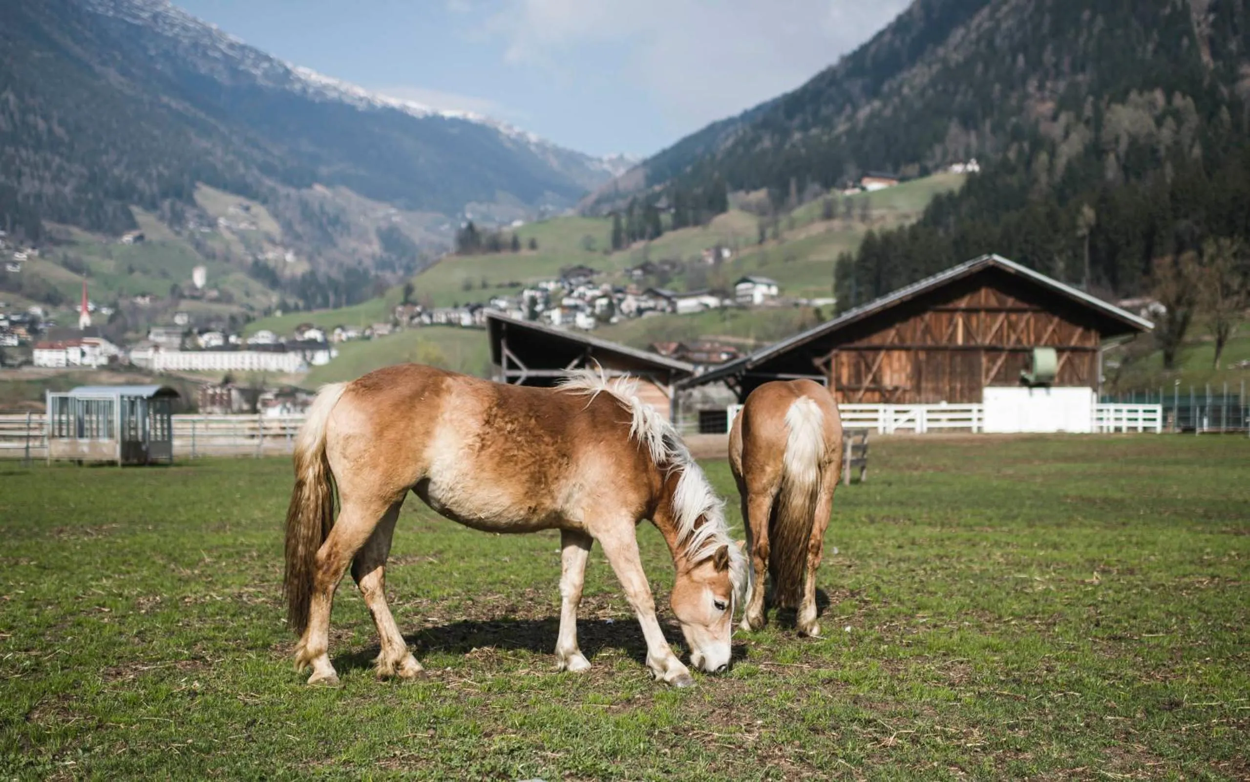 Natural landscape in Stroblhof Active Family Spa Resort