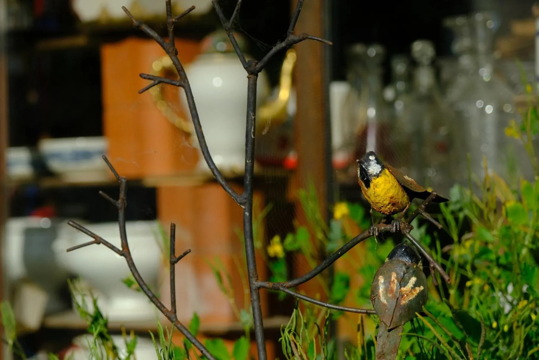 Garden view in Loge & Broc