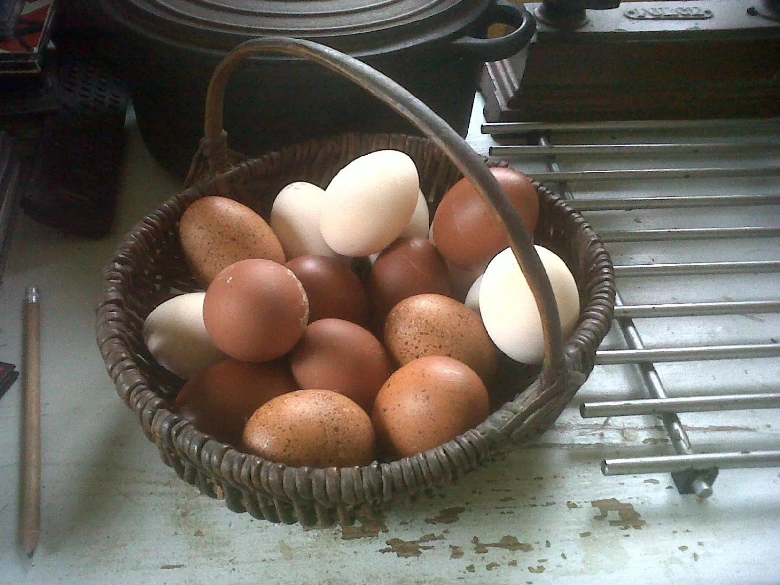 Property building in Loge & Broc