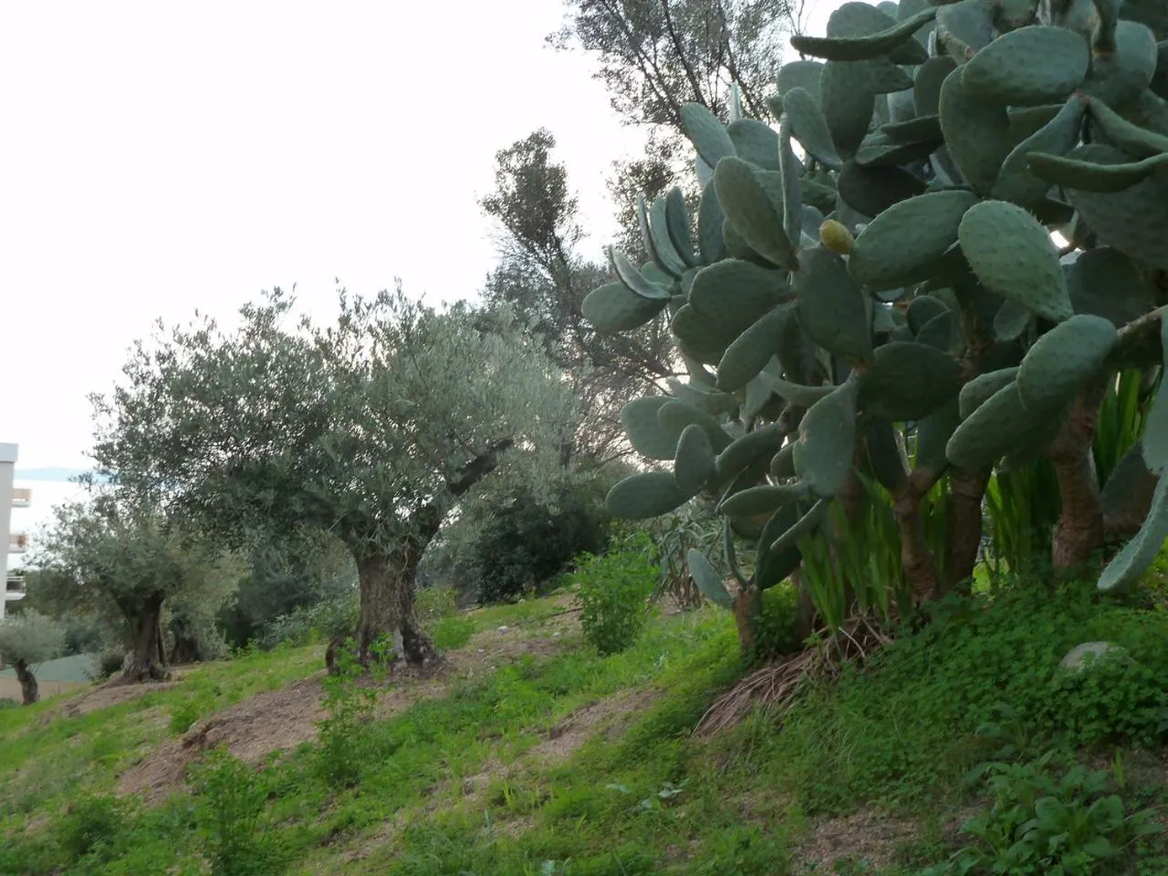 Natural landscape in F2 Le Lavezzi