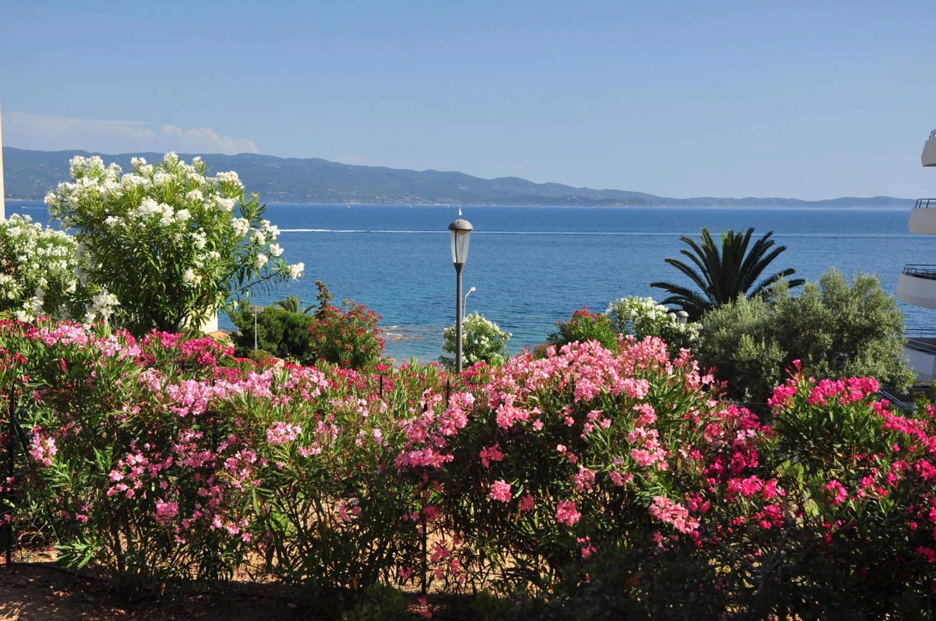 Garden in F2 Le Lavezzi