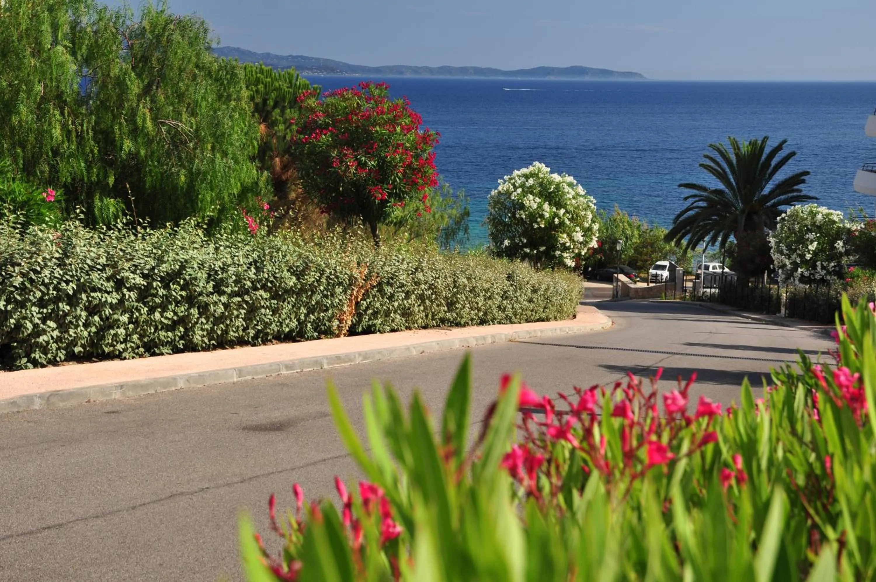 Garden in F2 Le Lavezzi