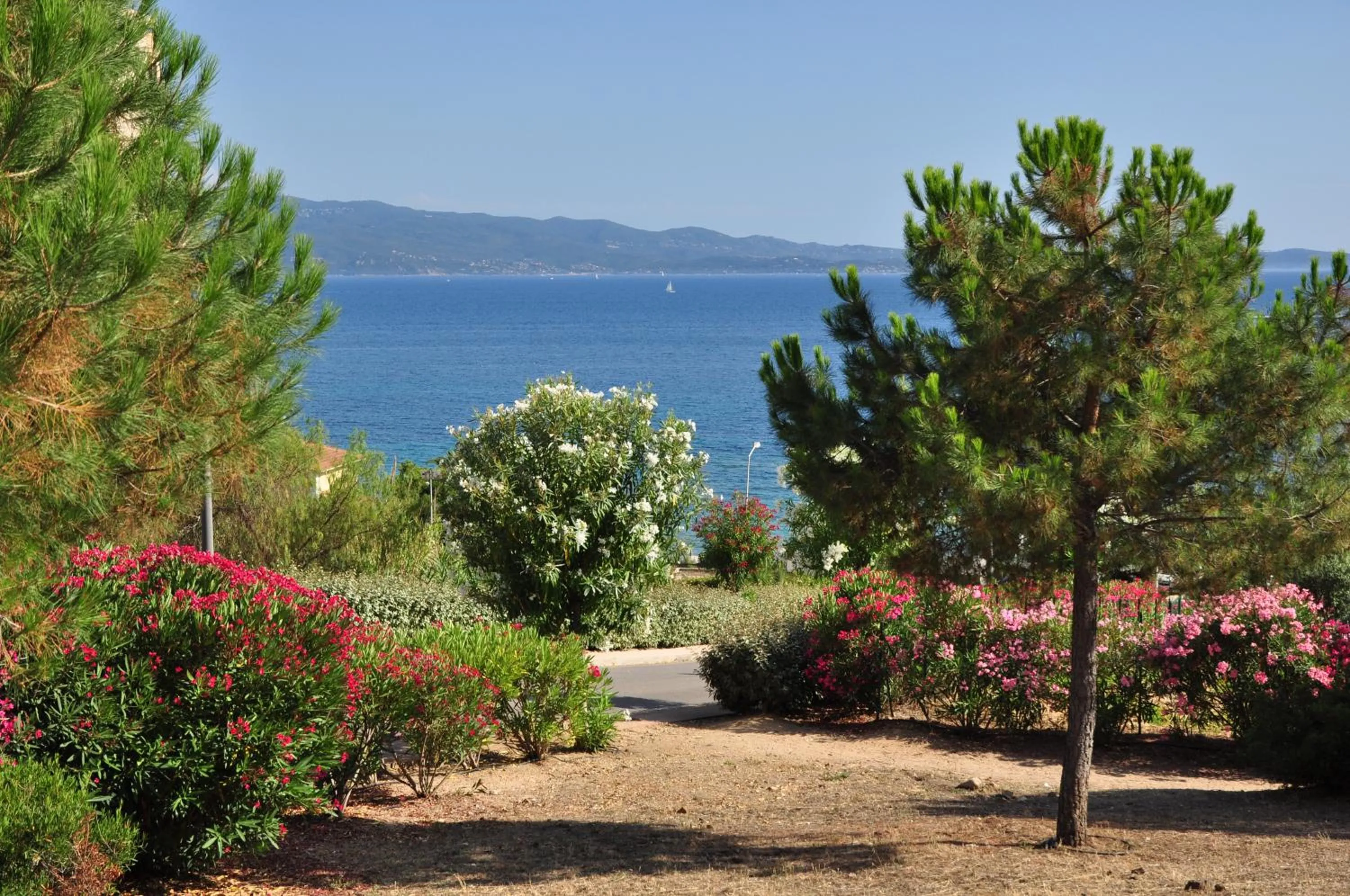 Garden in F2 Le Lavezzi