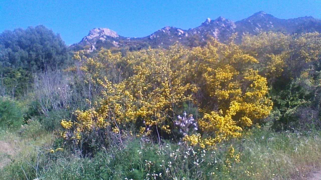 Hiking in F2 Le Lavezzi