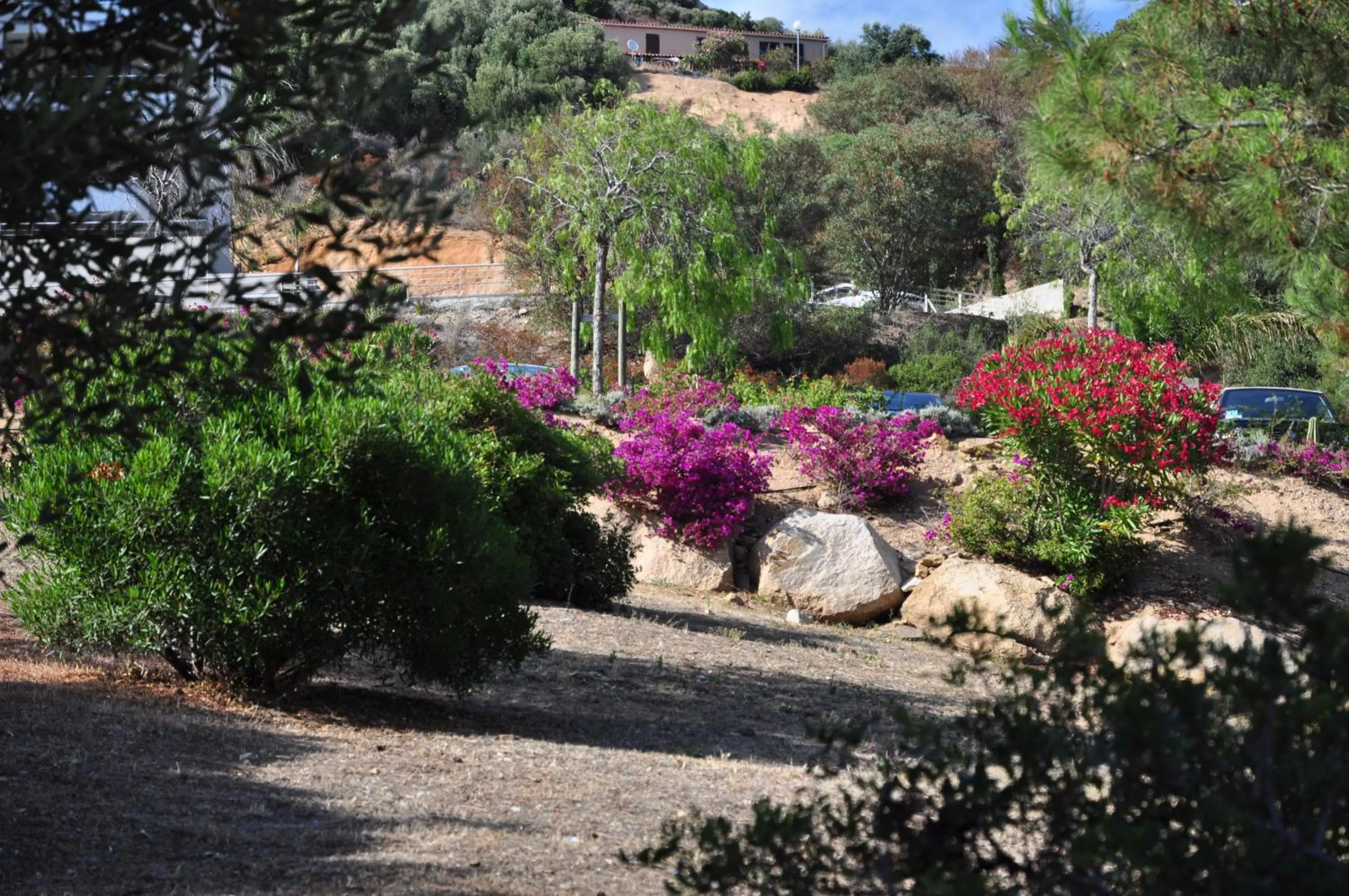 Garden in F2 Le Lavezzi