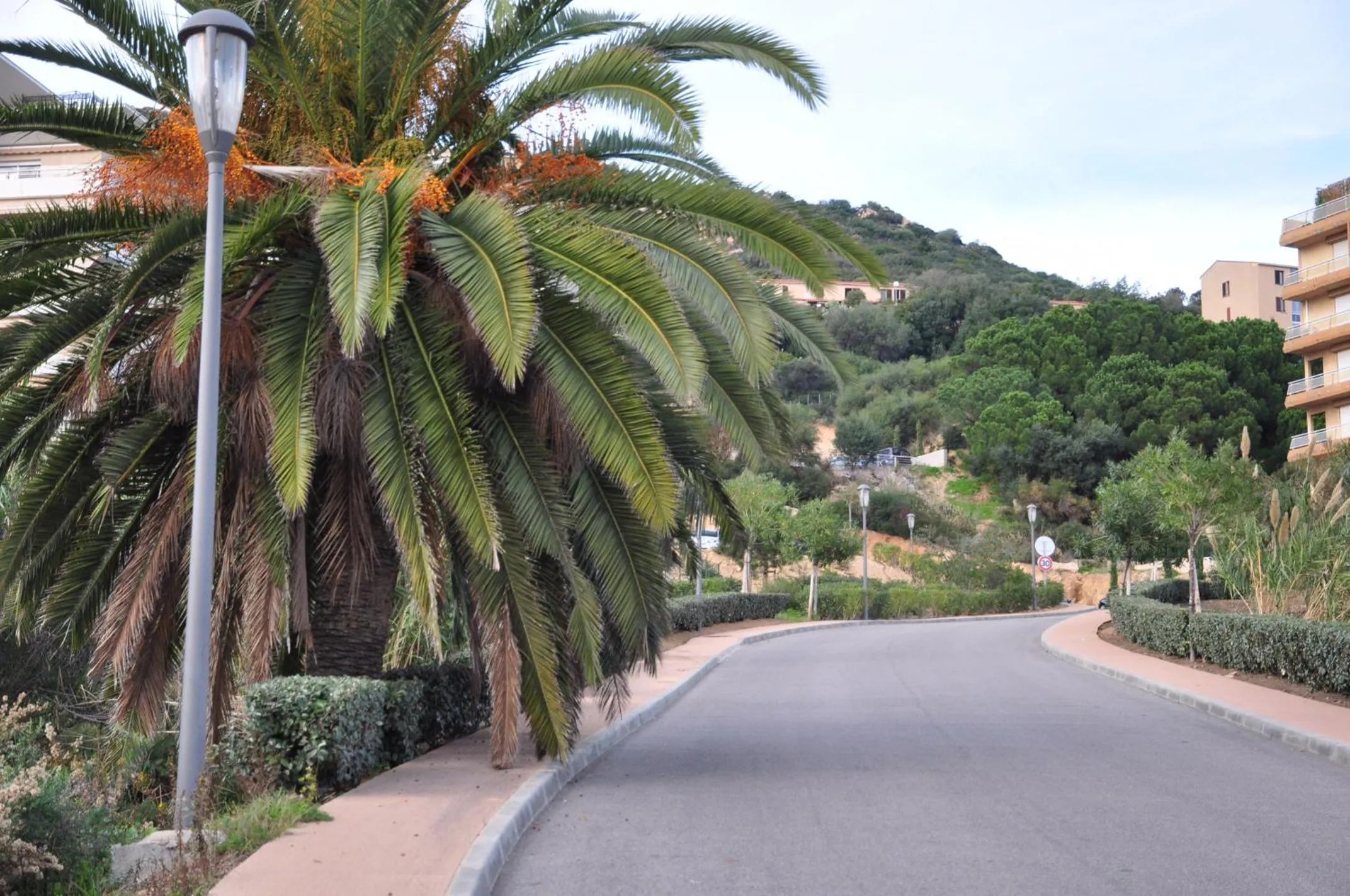 Garden view in F2 Le Lavezzi
