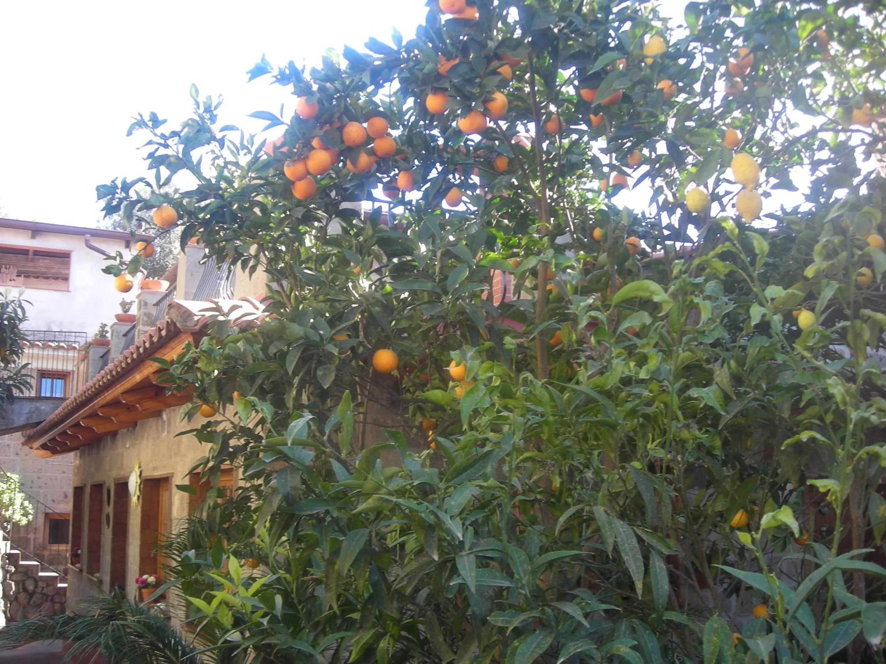 Garden in B&B L'Arcobaleno