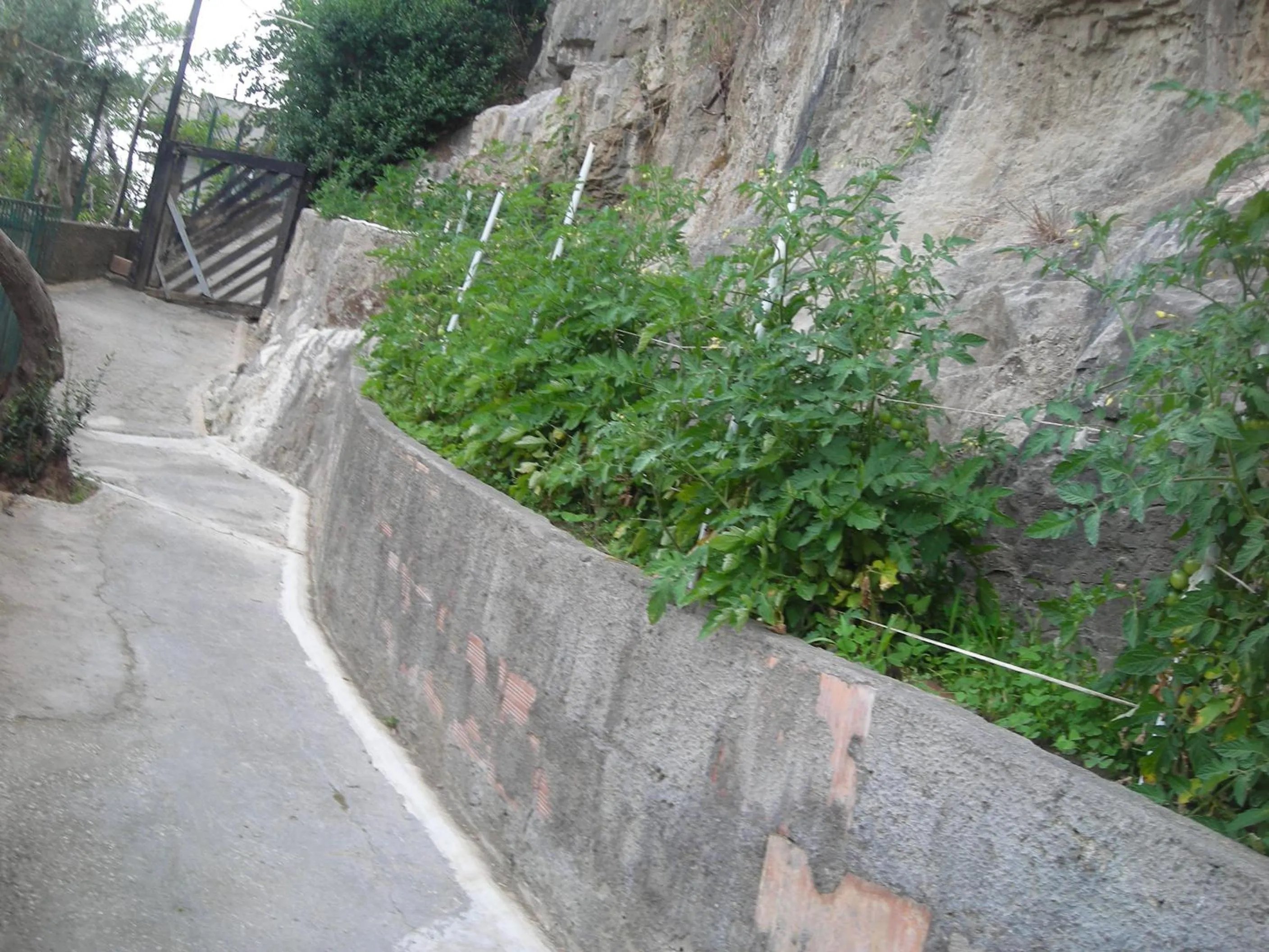 Garden in B&B L'Arcobaleno
