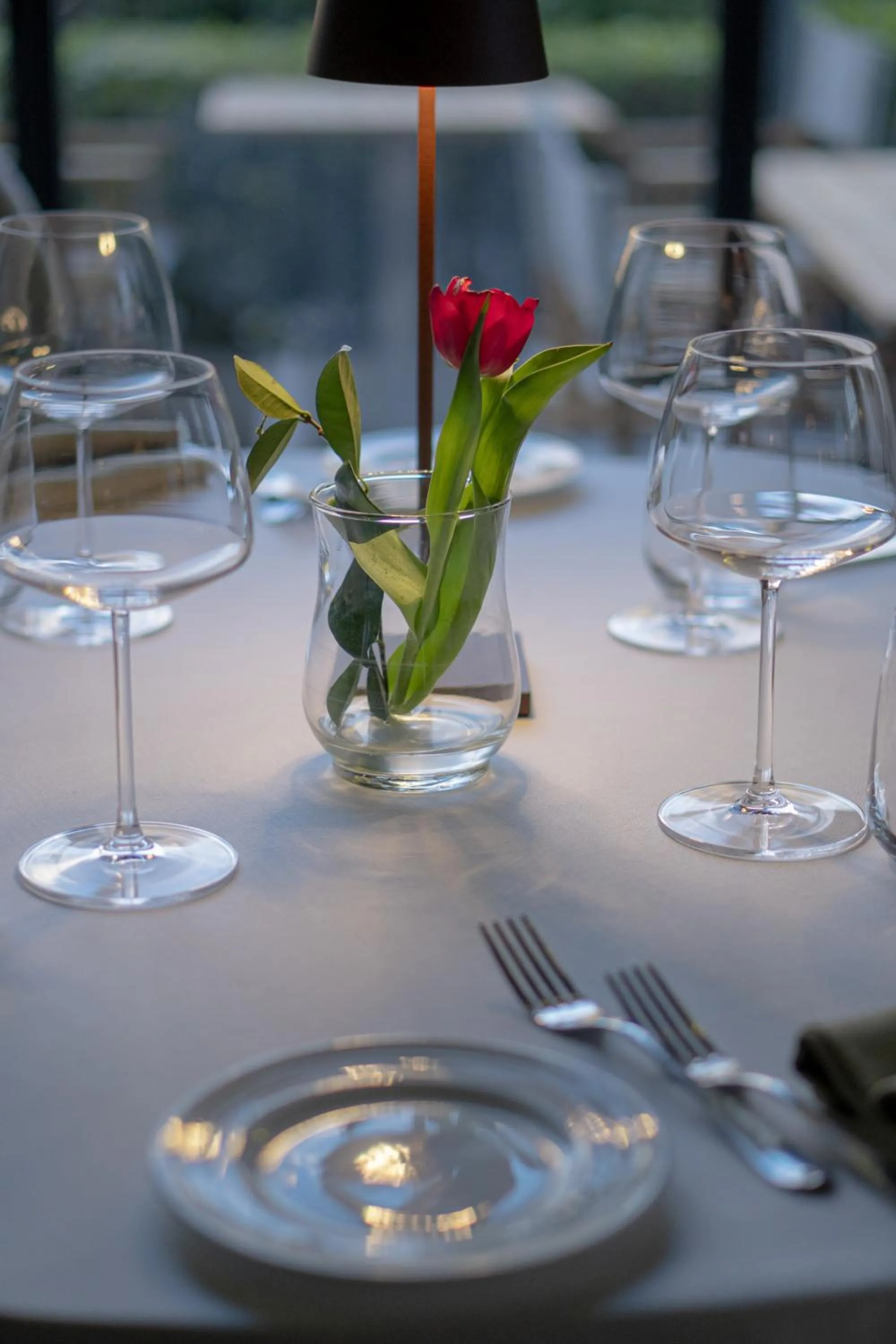 Restaurant/places to eat in Hotel Miralago