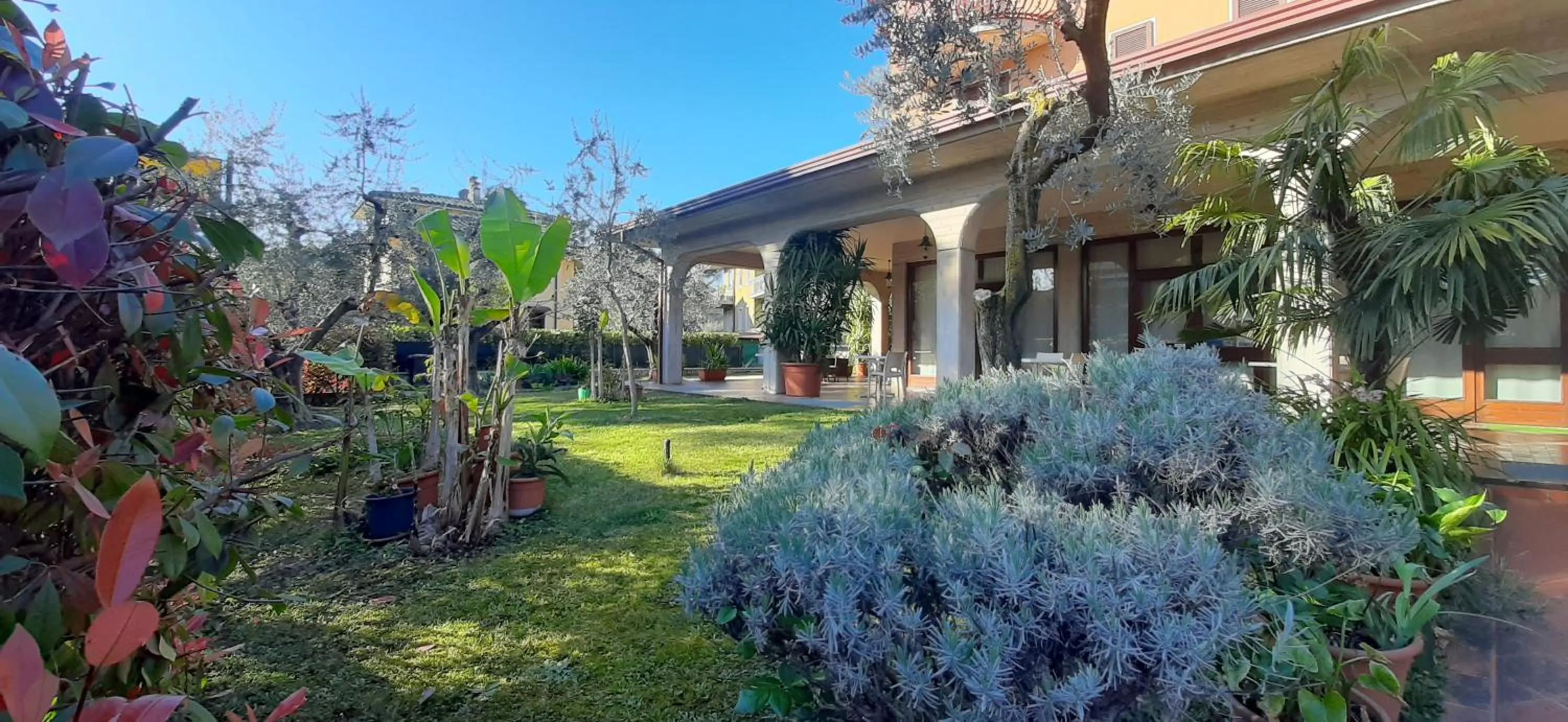 Garden view in Hotel Chiara
