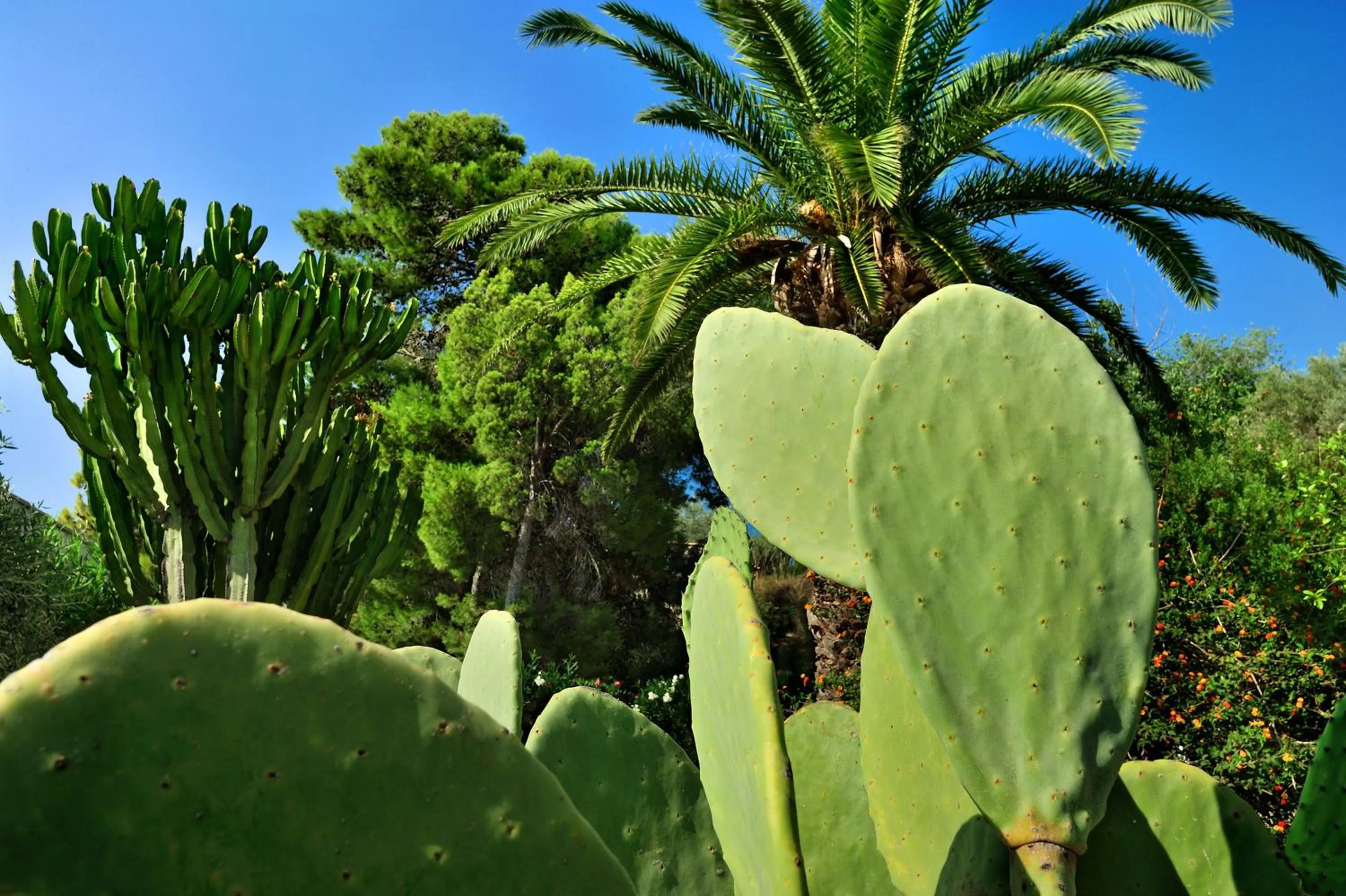 Spring in Kallikoros Country Resort & Spa