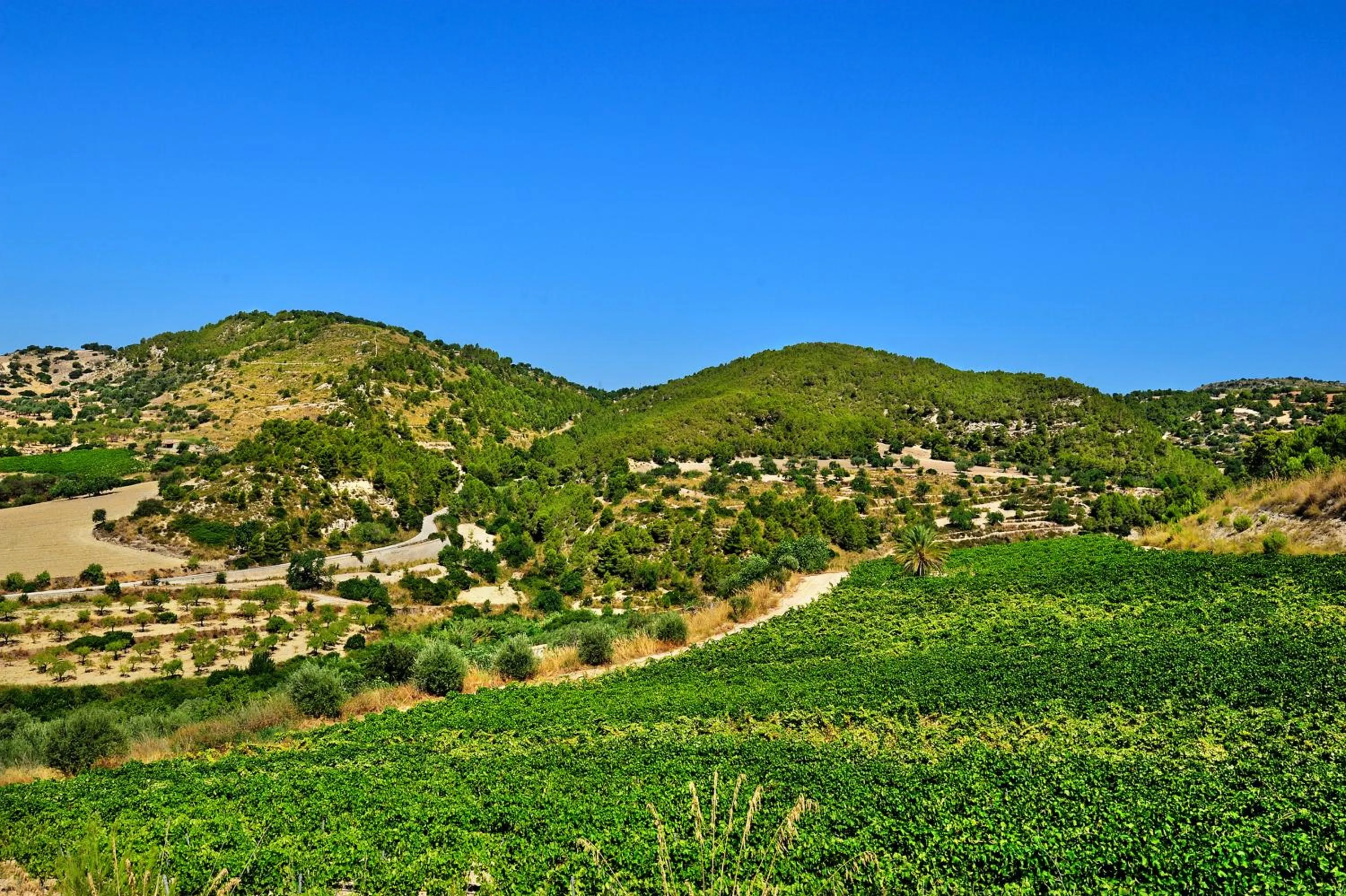 Nearby landmark in Kallikoros Country Resort & Spa