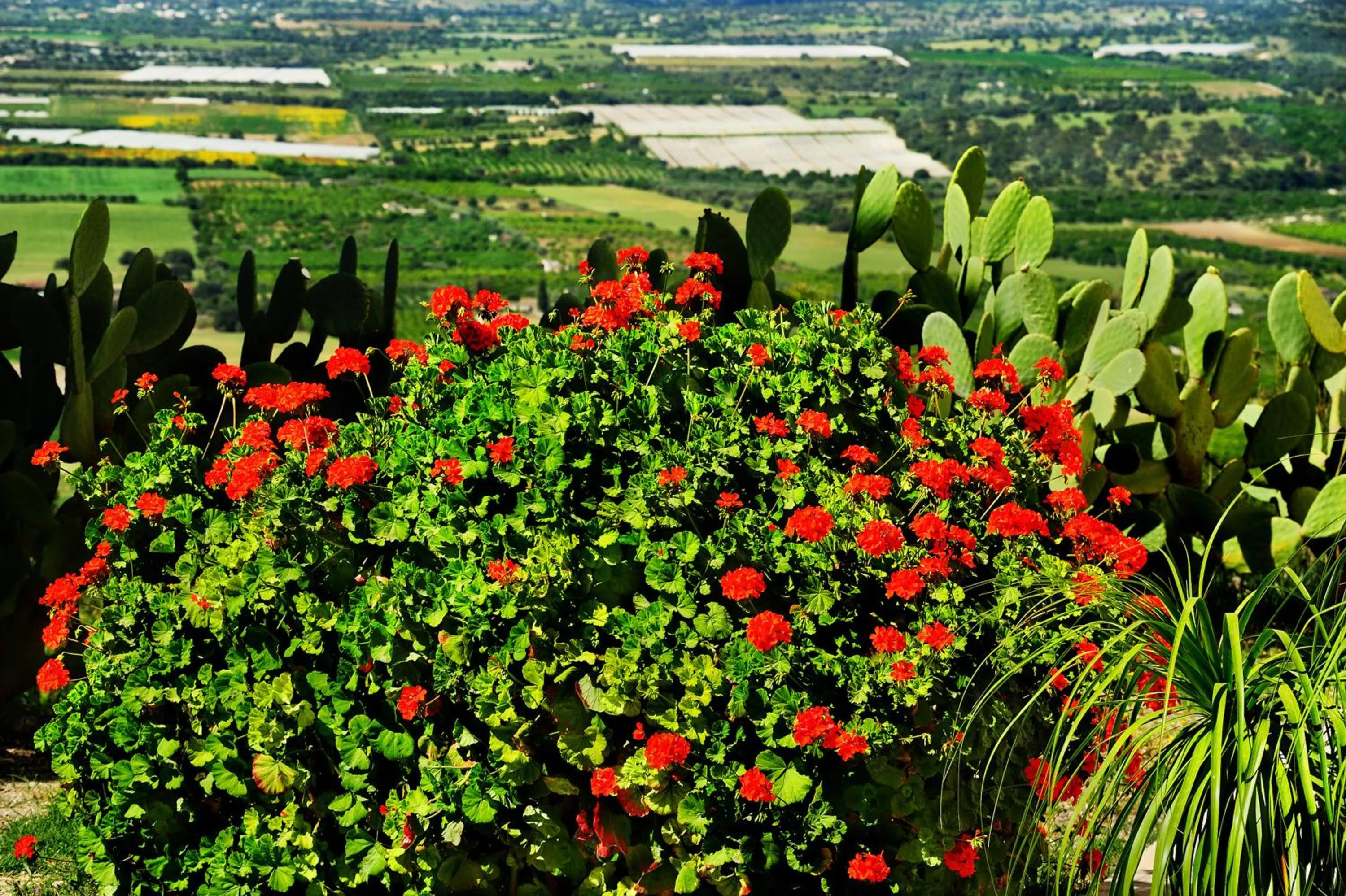 View (from property/room) in Kallikoros Country Resort & Spa