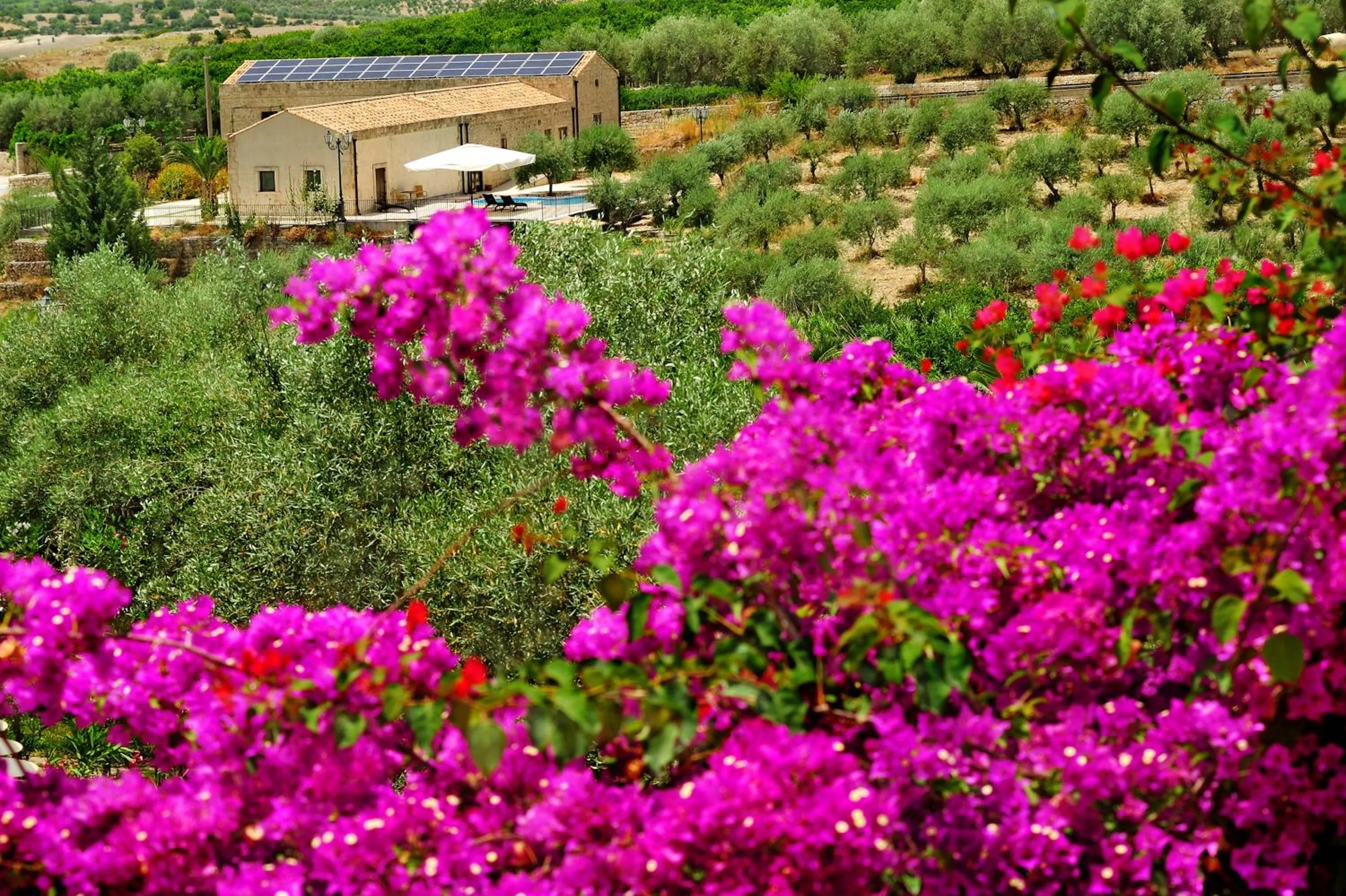 Spring in Kallikoros Country Resort & Spa