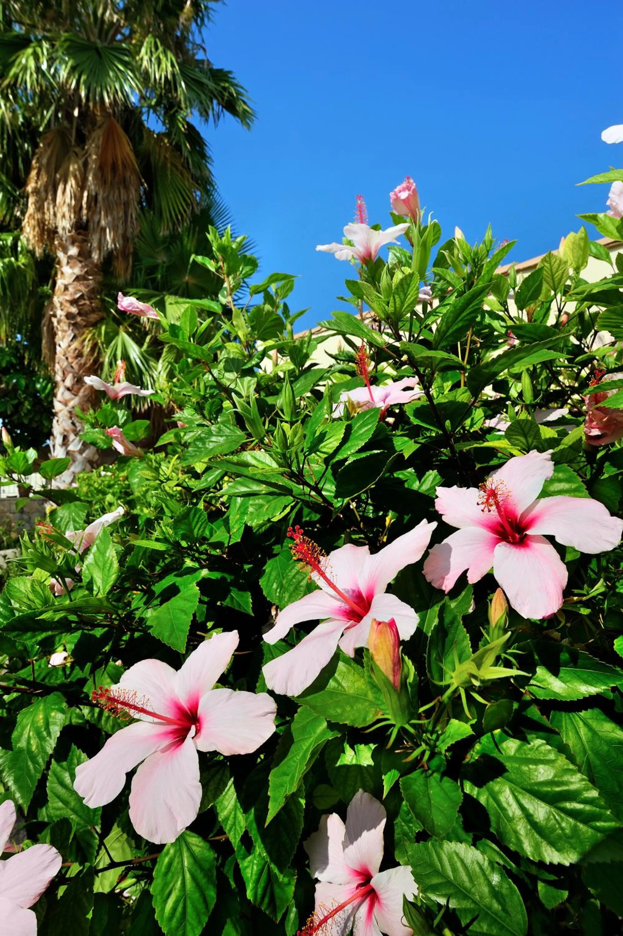 Spring in Kallikoros Country Resort & Spa