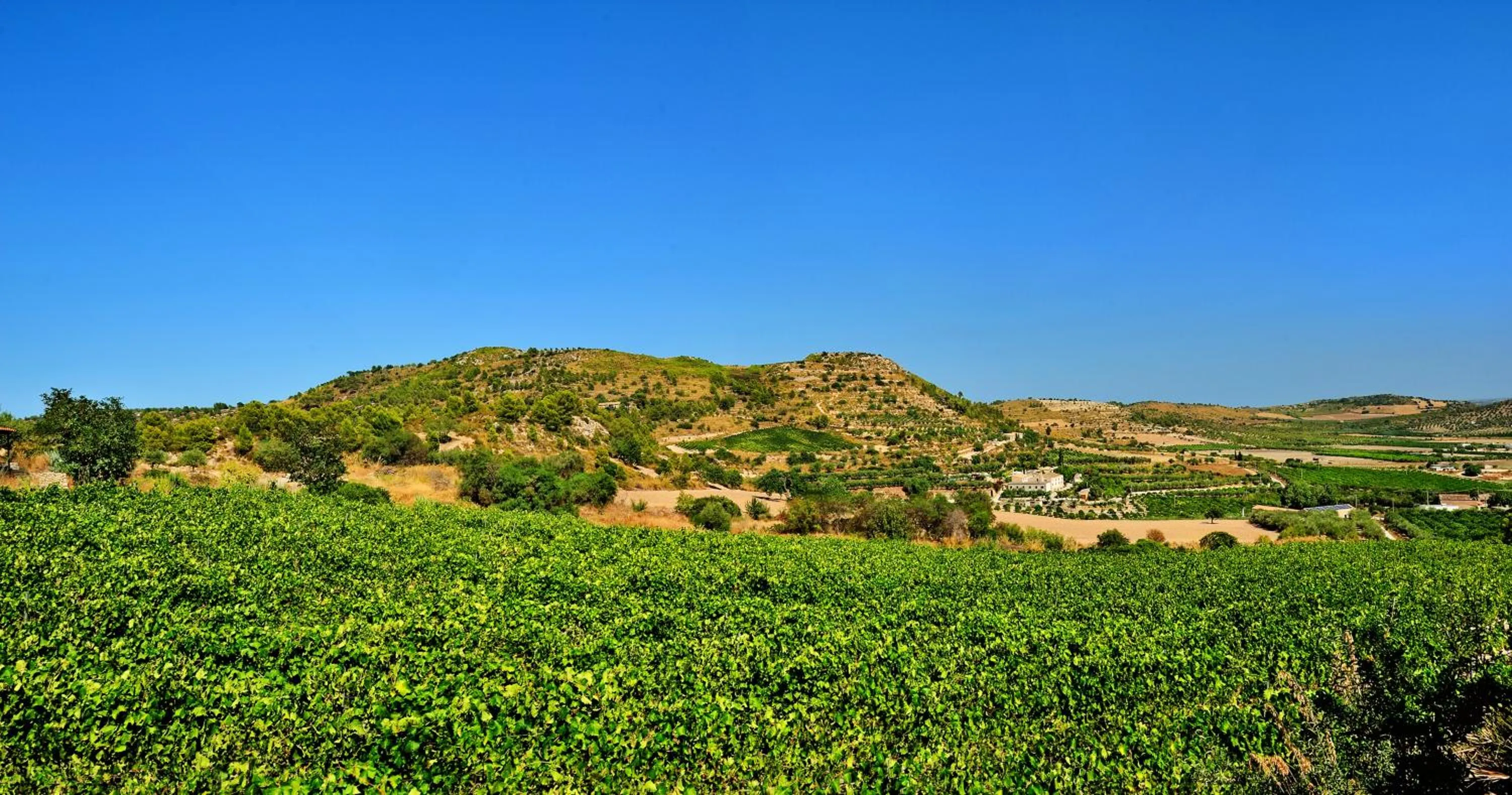 Nearby landmark in Kallikoros Country Resort & Spa