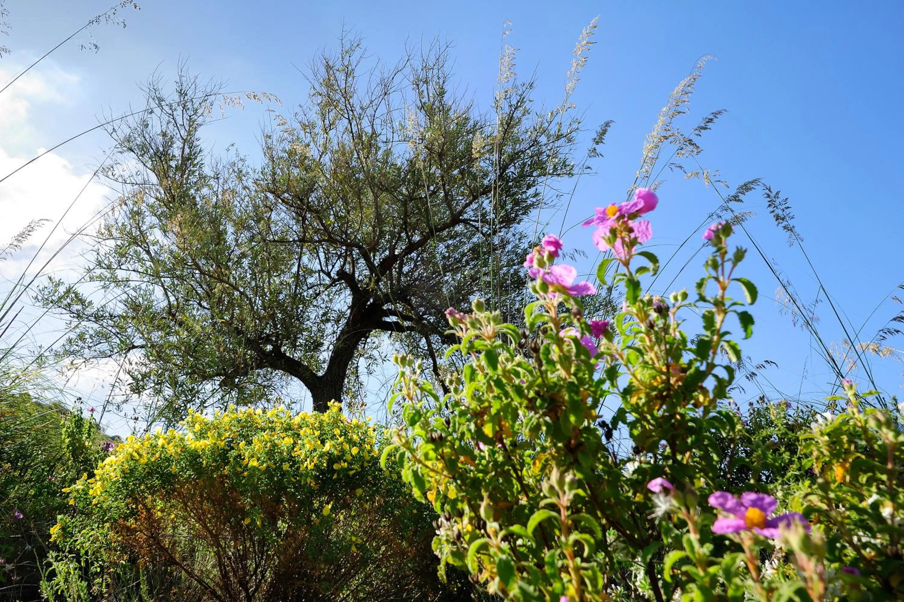 View (from property/room) in Kallikoros Country Resort & Spa