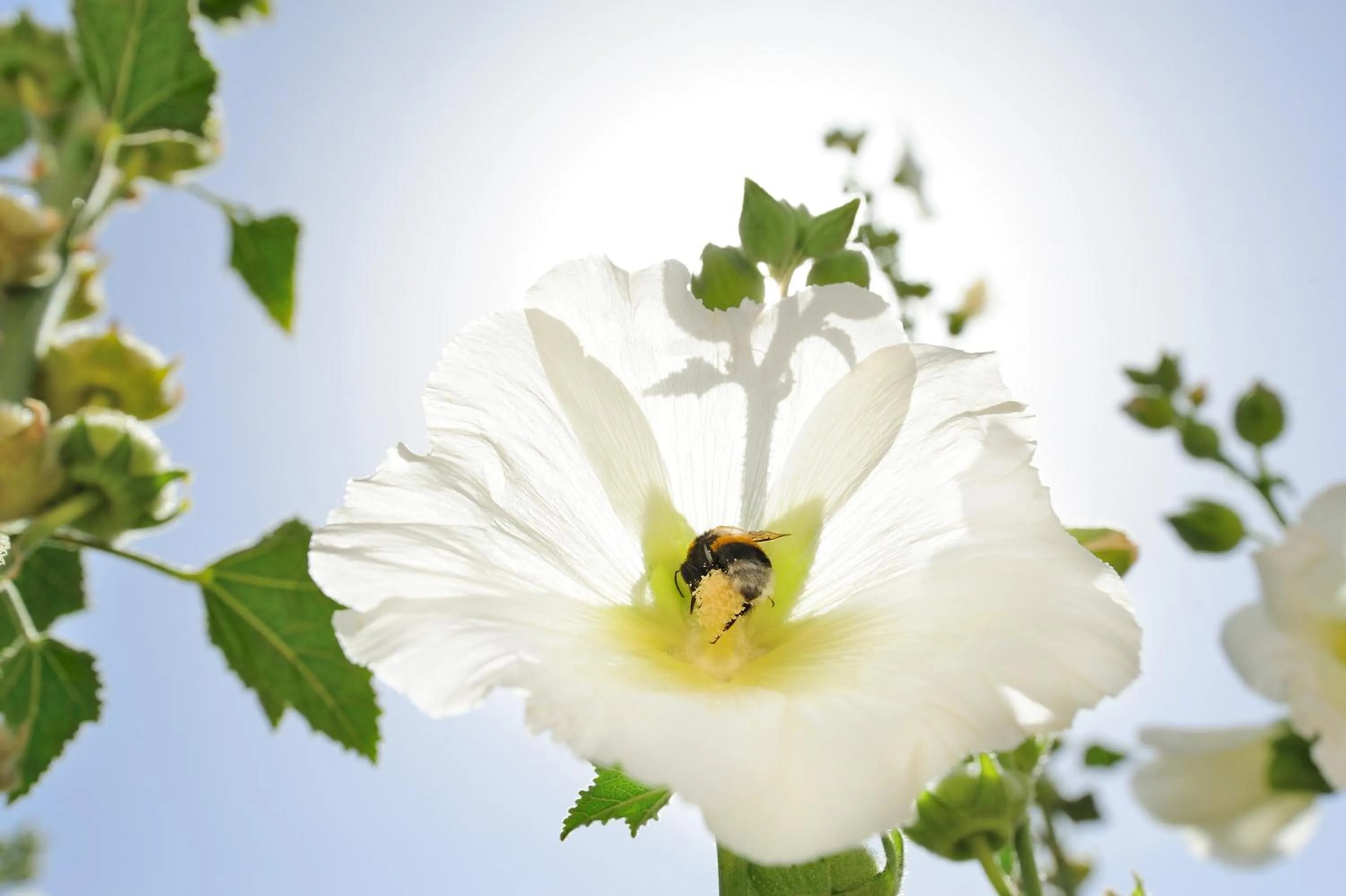 Property building in Kallikoros Country Resort & Spa