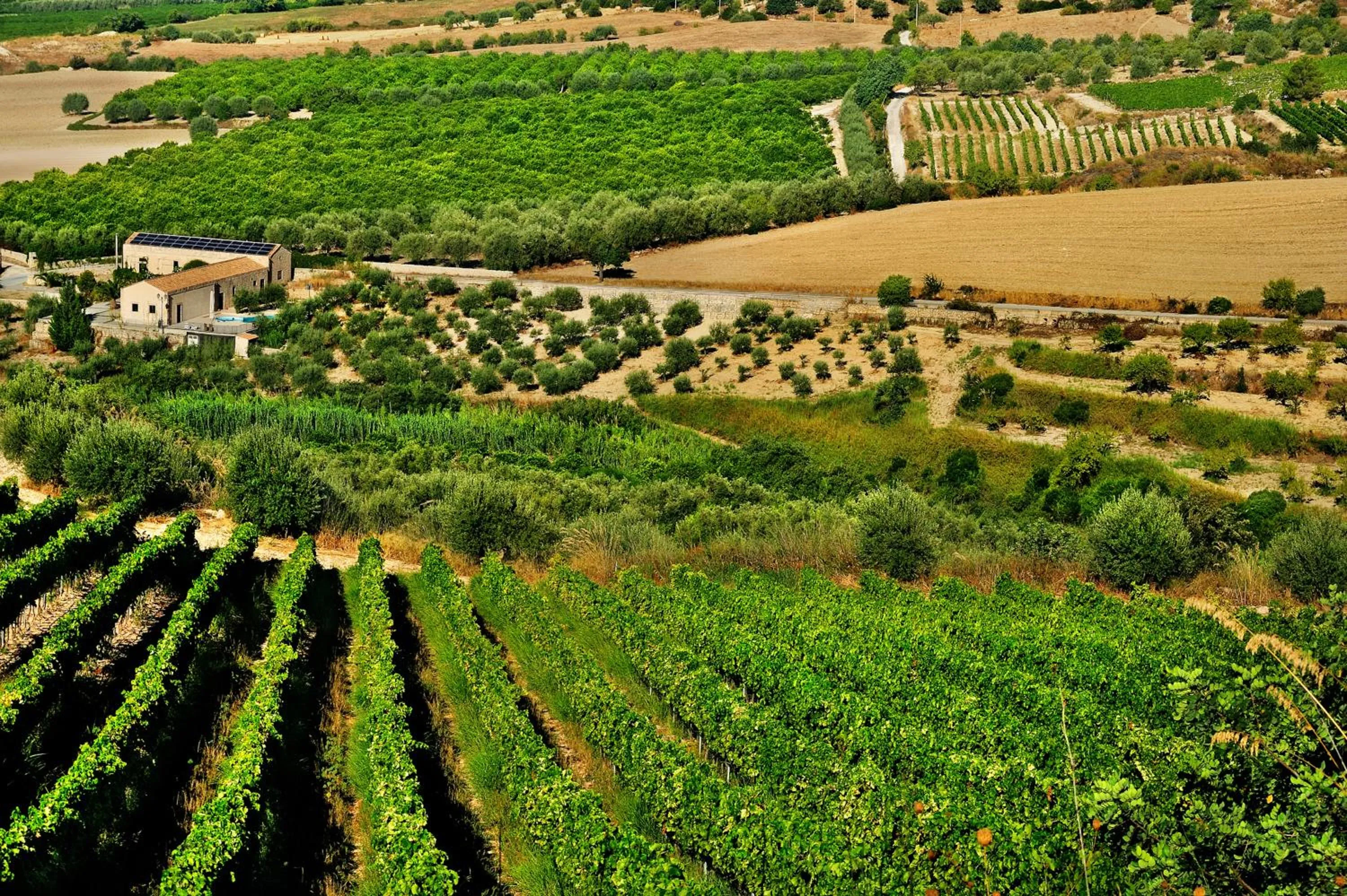 Spring in Kallikoros Country Resort & Spa