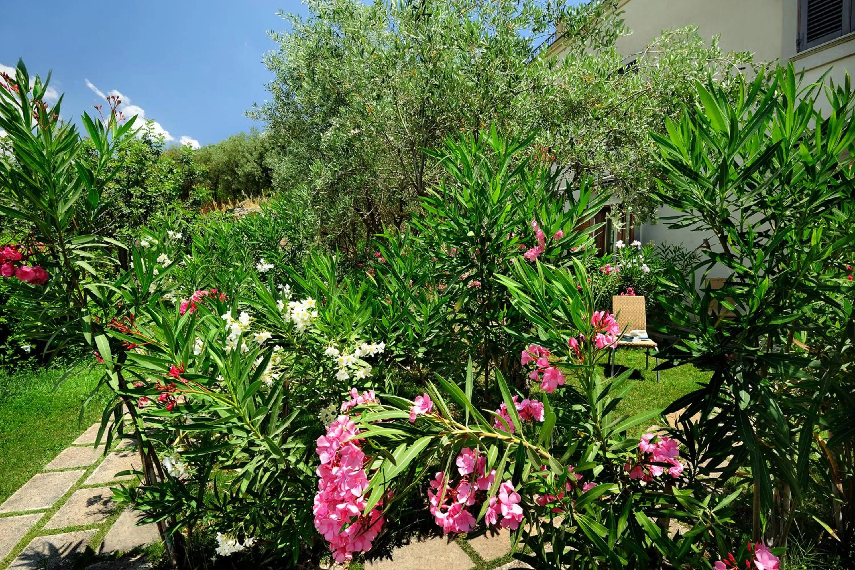 Spring in Kallikoros Country Resort & Spa