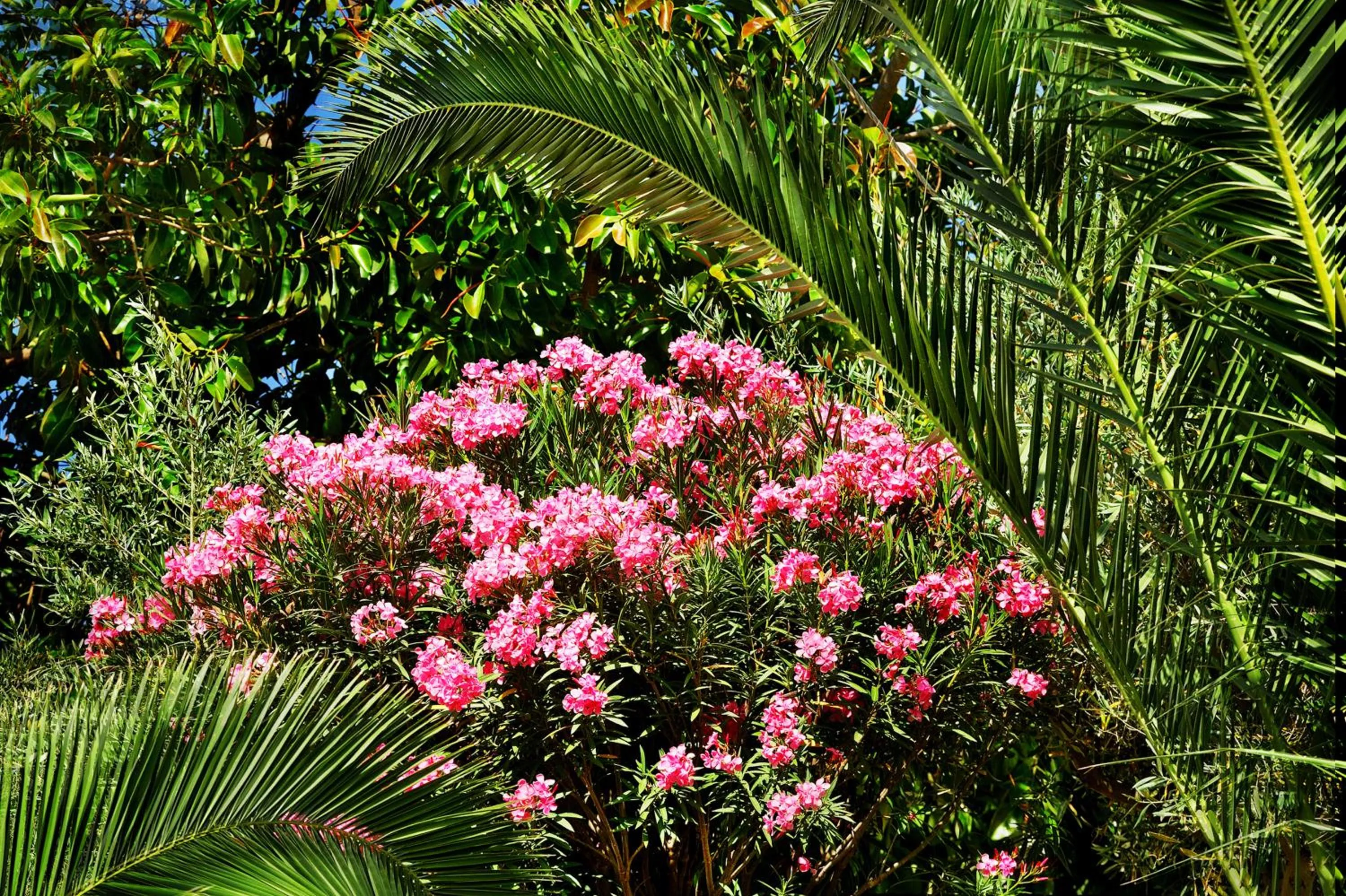 Spring in Kallikoros Country Resort & Spa