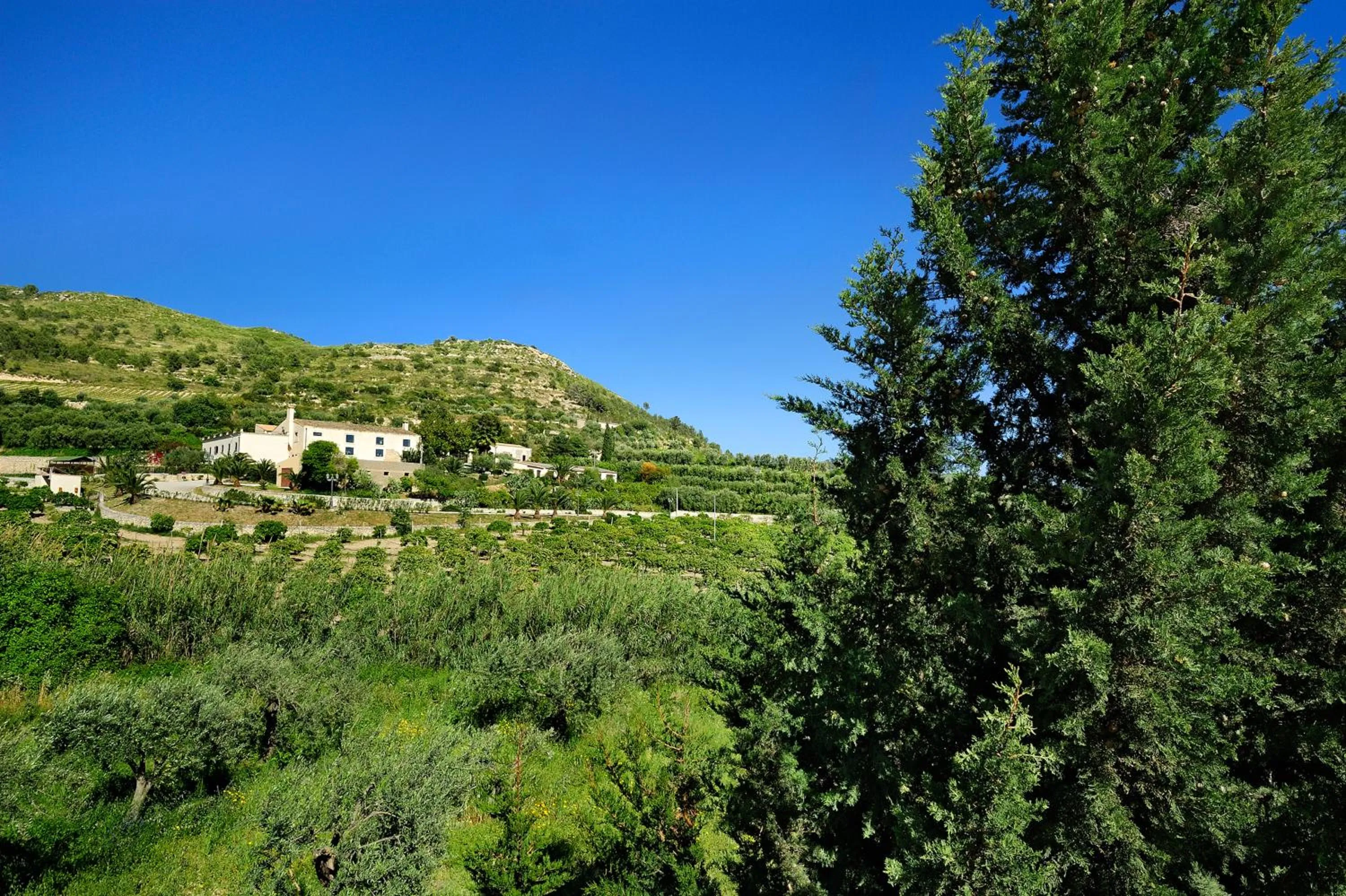 Nearby landmark in Kallikoros Country Resort & Spa