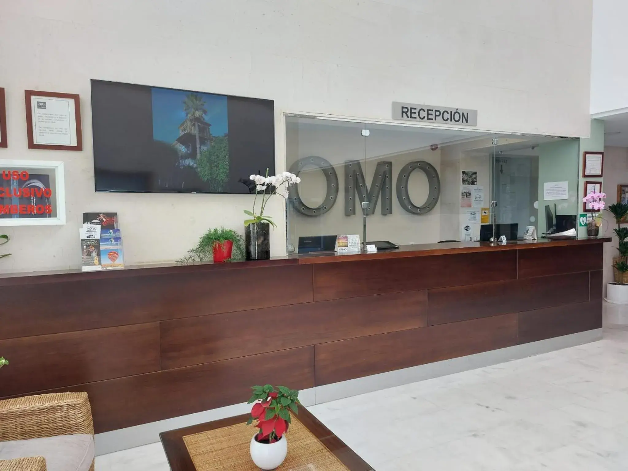 Lobby or reception in Domocenter Apartamentos Turísticos Lobby or reception in Domocenter Apartamentos Turísticos