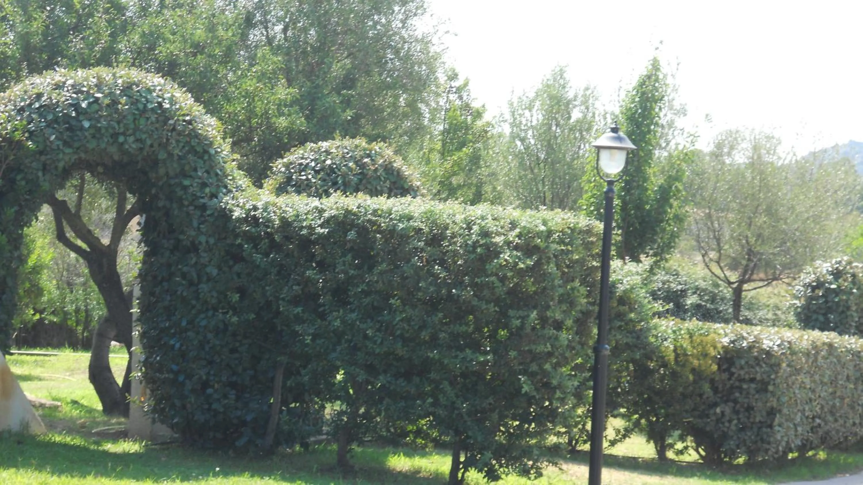 Garden in Maria Caderina Green Village