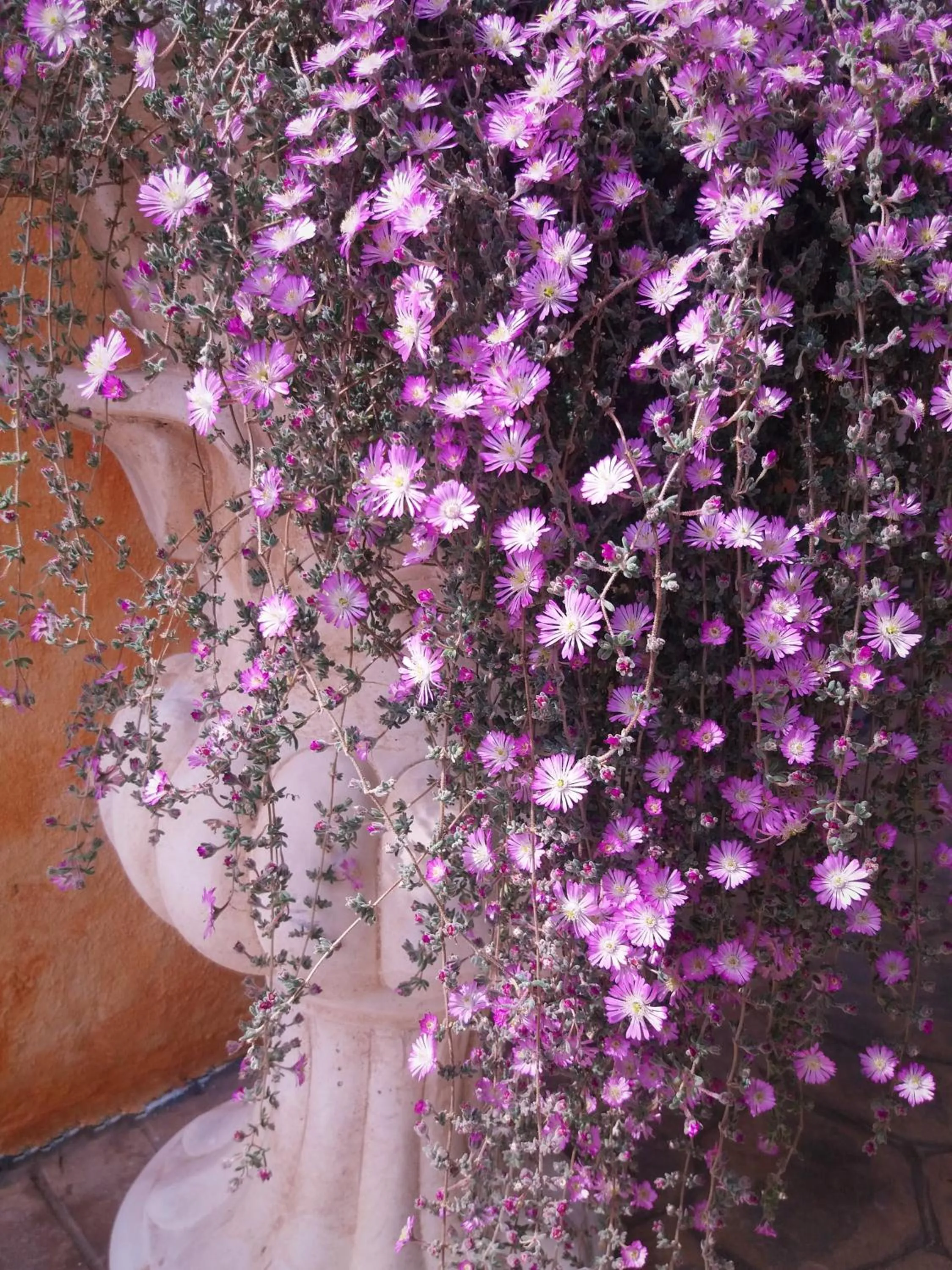 Spring in Maria Caderina Green Village