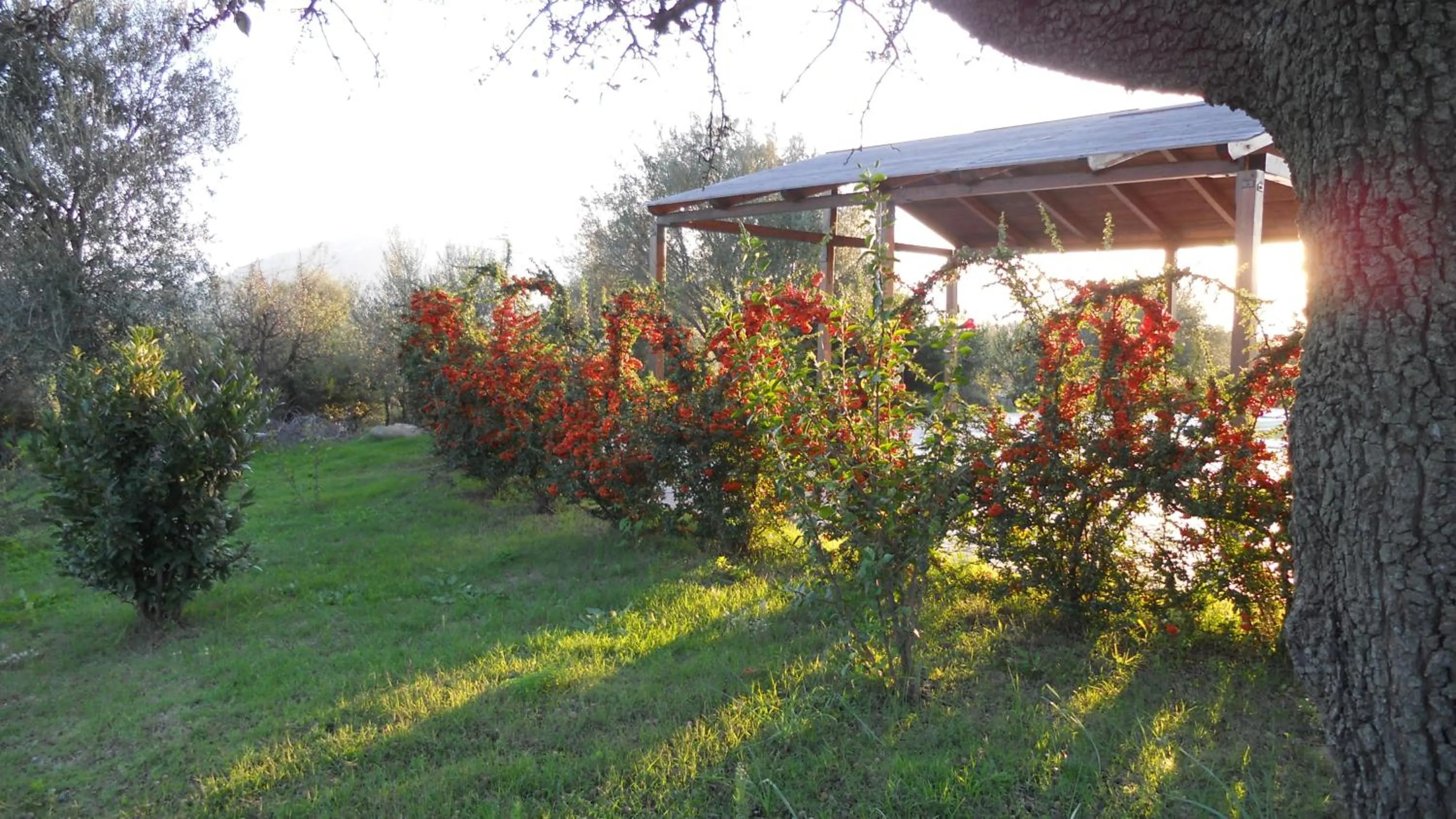 Garden in Maria Caderina Green Village