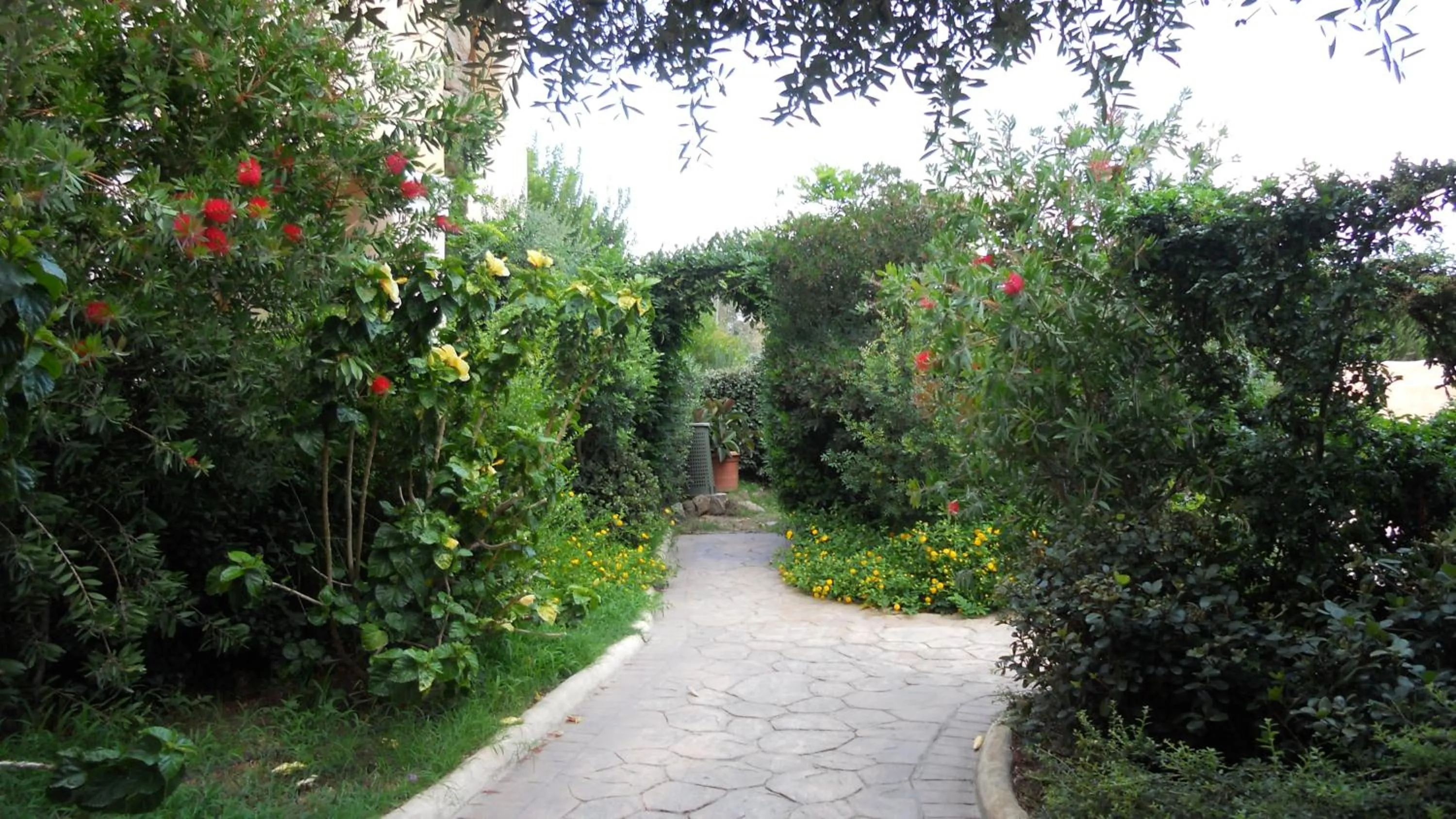 Garden in Maria Caderina Green Village