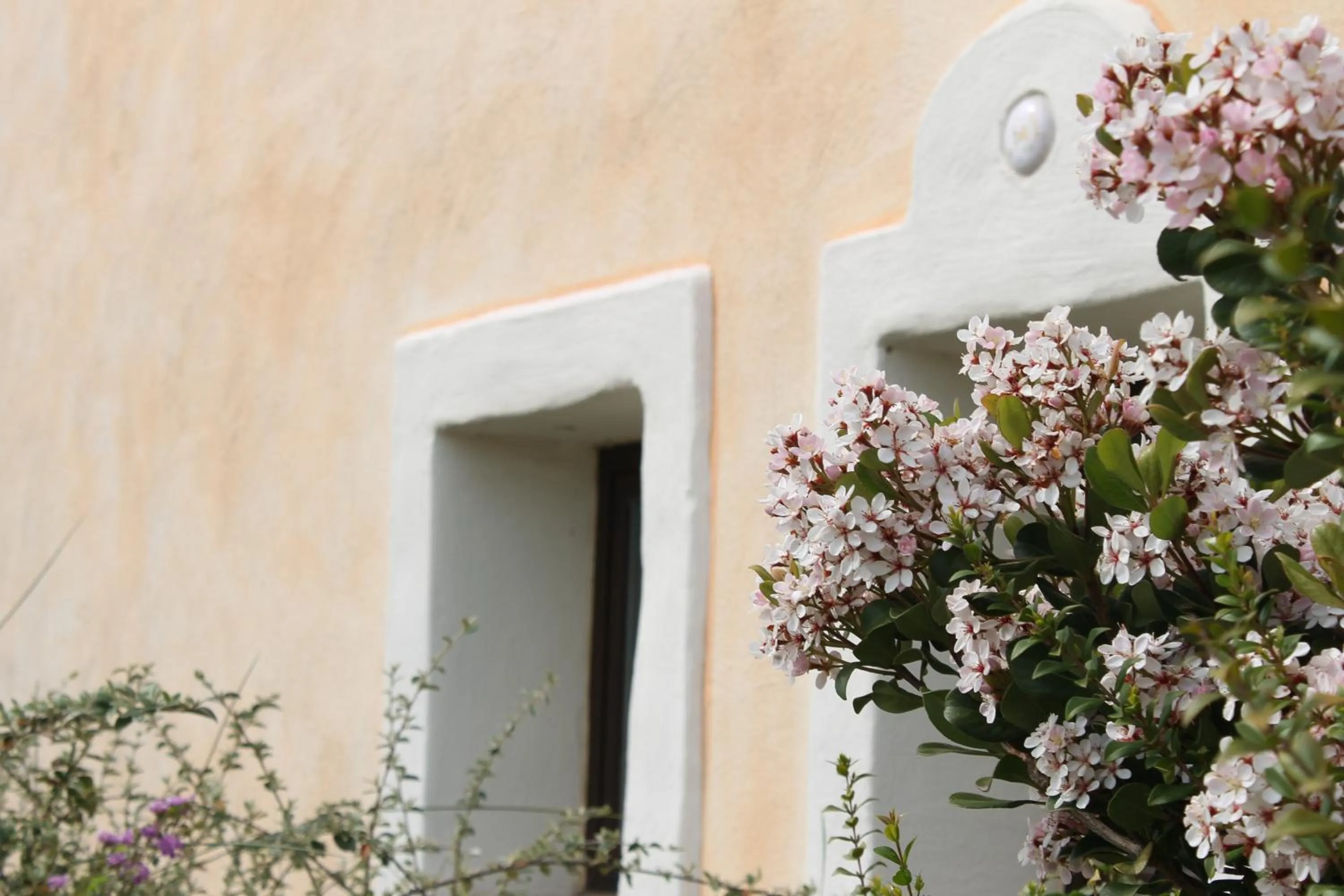 Property building in Maria Caderina Green Village