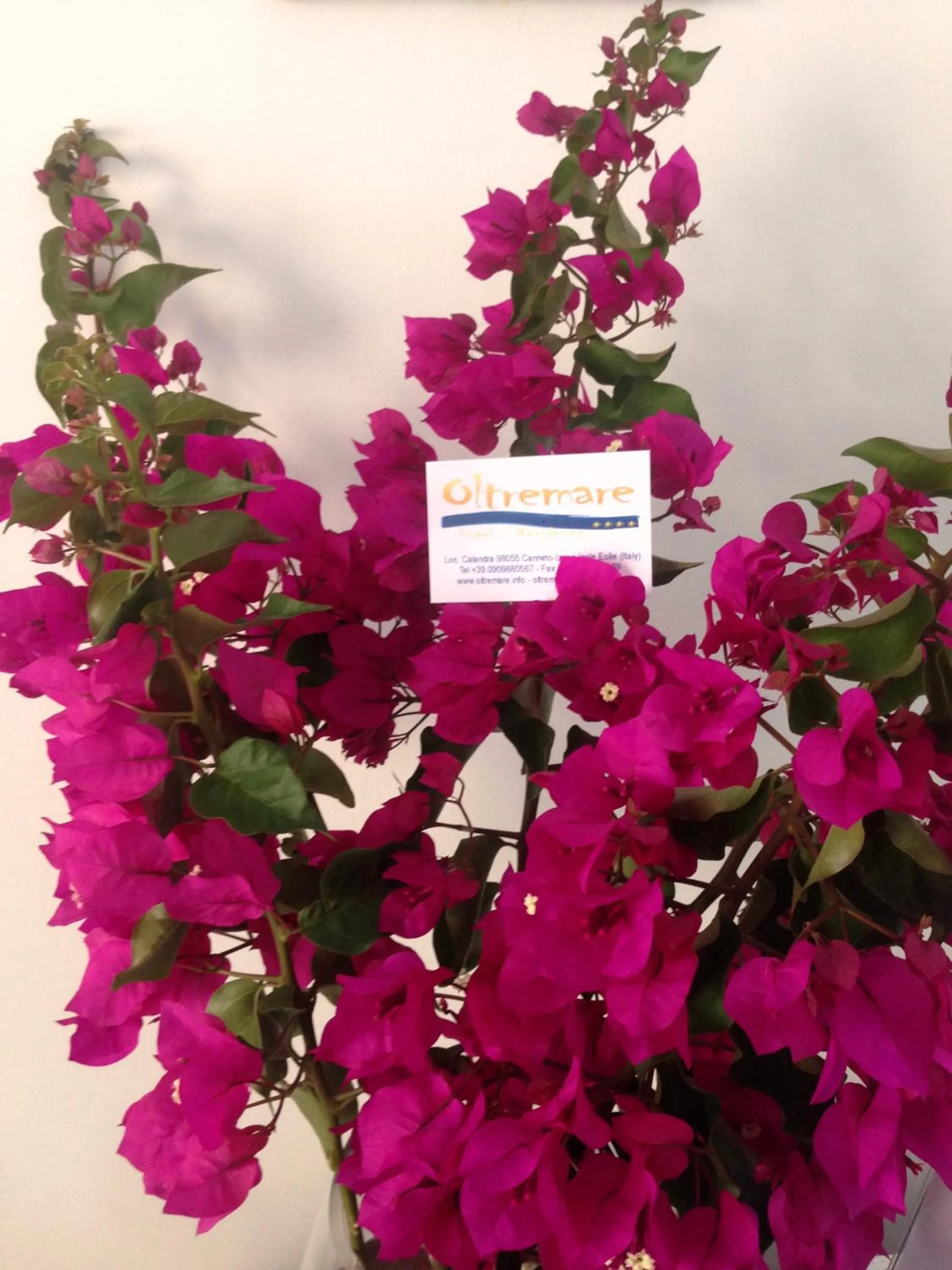 Day in Oltremare Residence Hotel