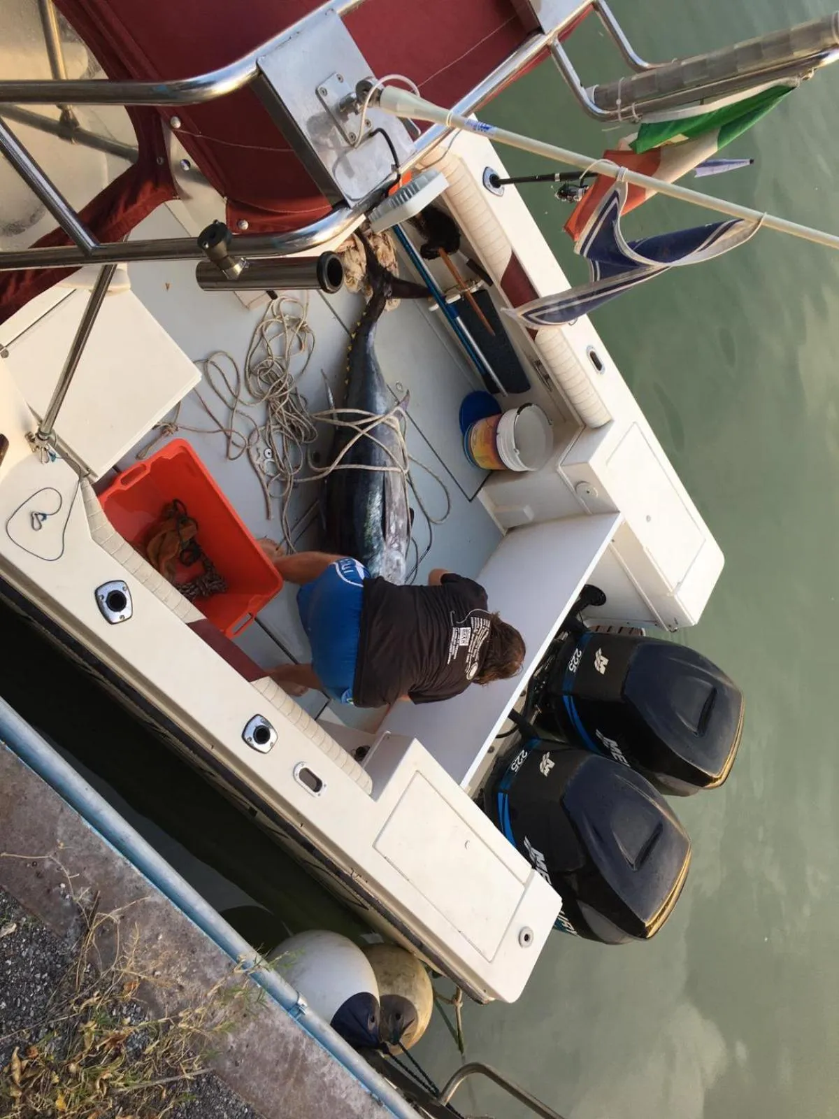 Day in Albergo Hotel Raffaello