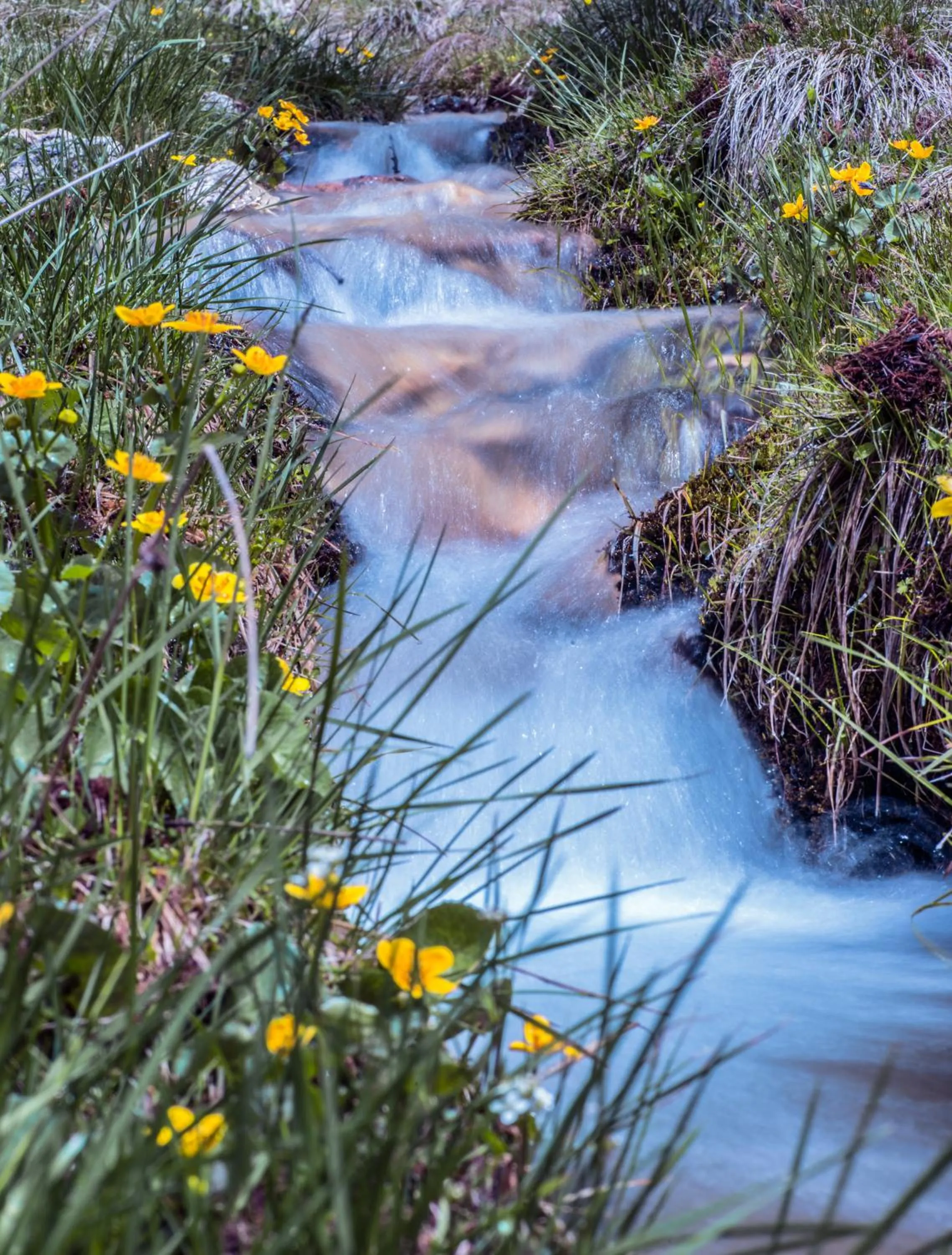 Natural landscape in Hotel Ciasa Salares
