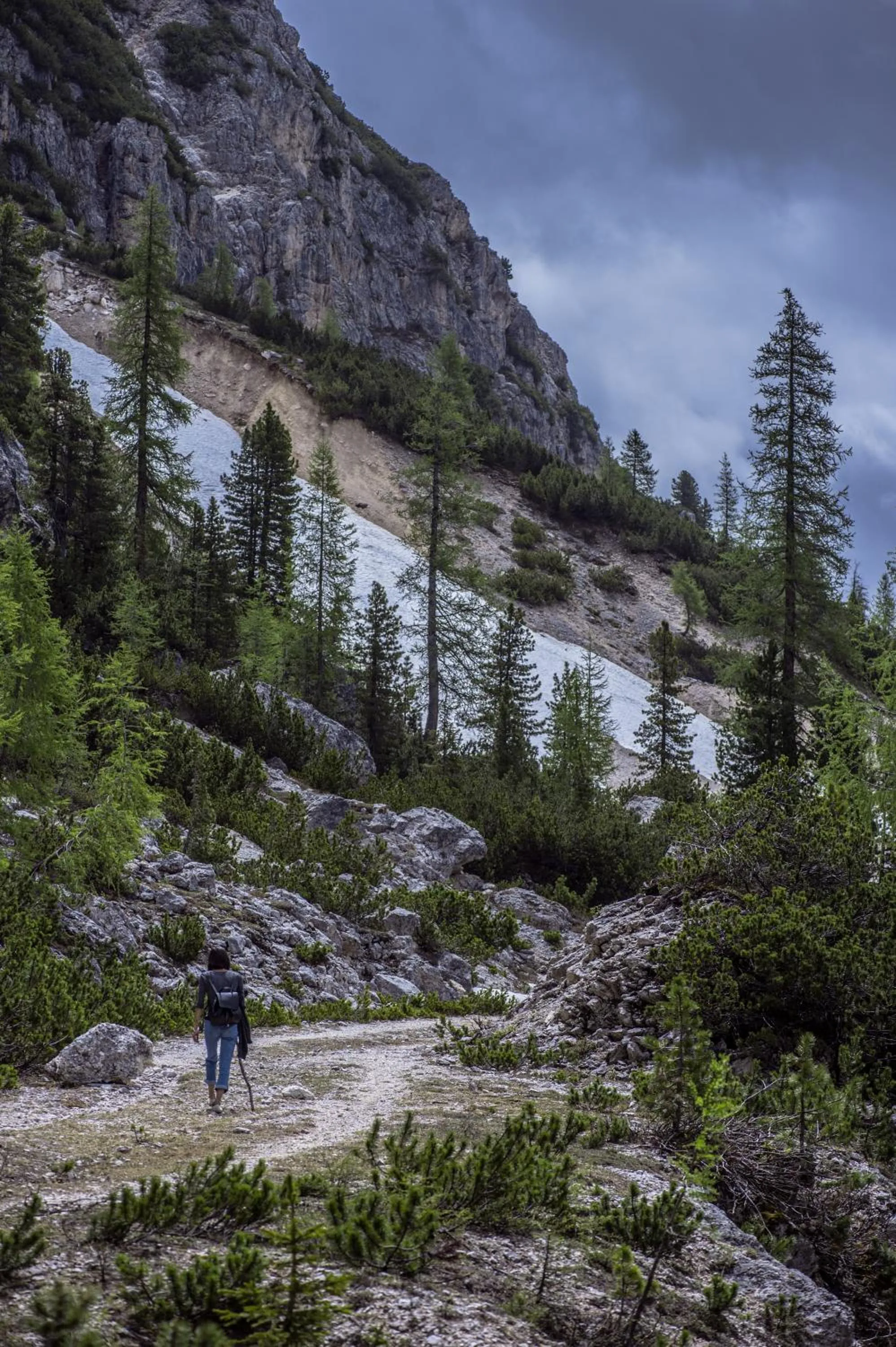 Natural landscape in Hotel Ciasa Salares