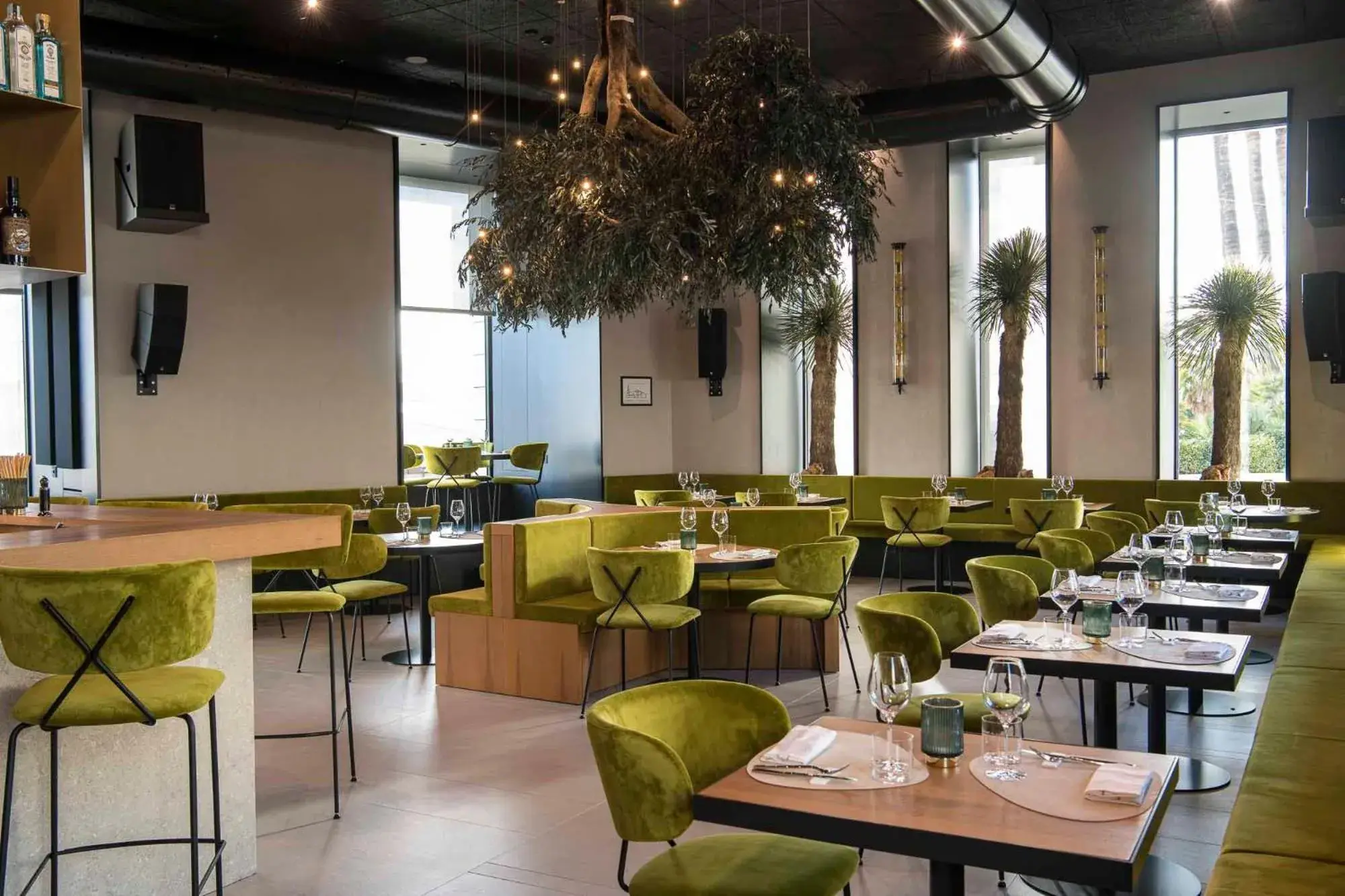 Restaurant/places to eat in Europa Palace Restaurant/places to eat in Europa Palace