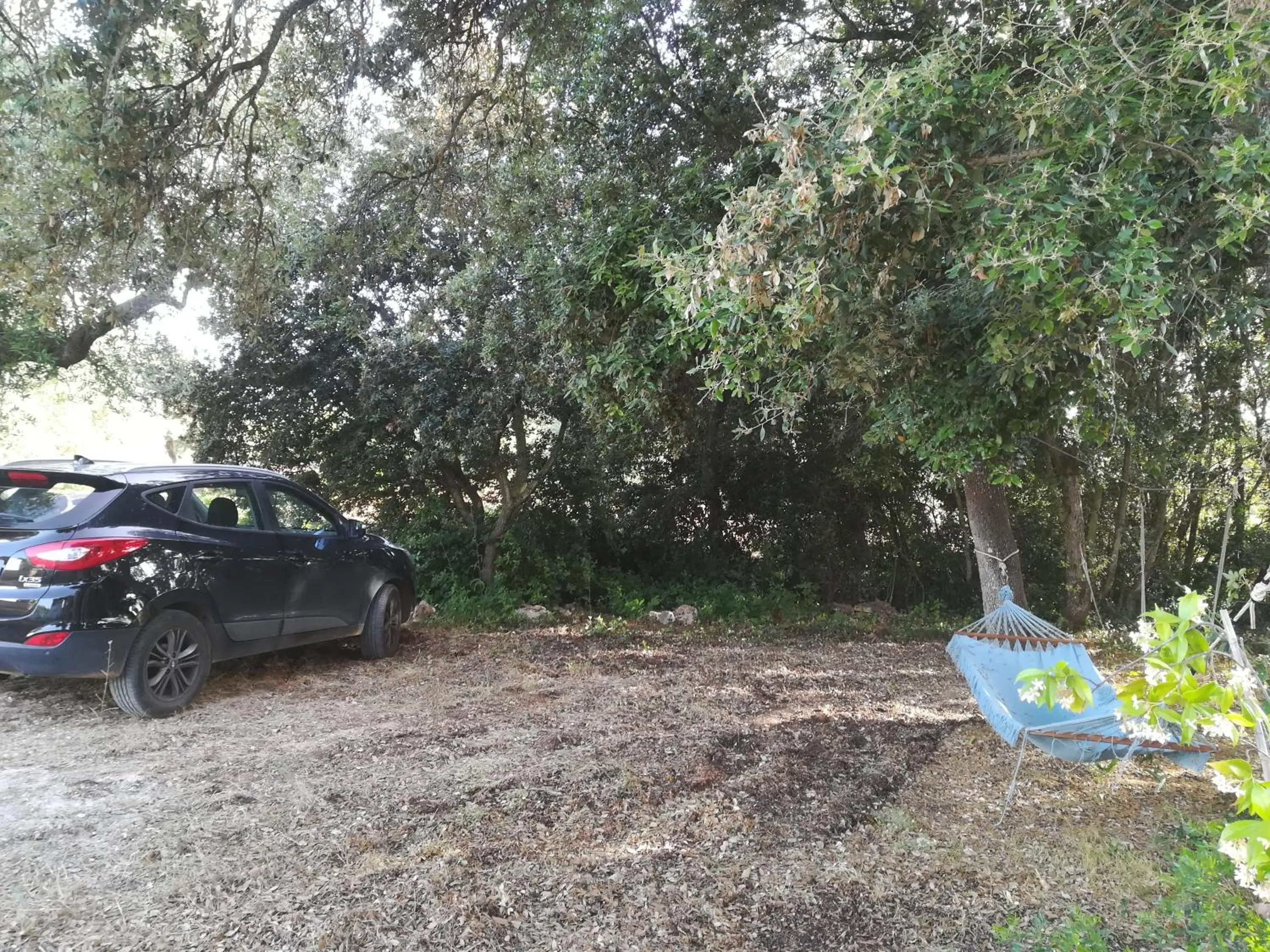 Garden view in Trullo Alessandro e Villa Raffaela