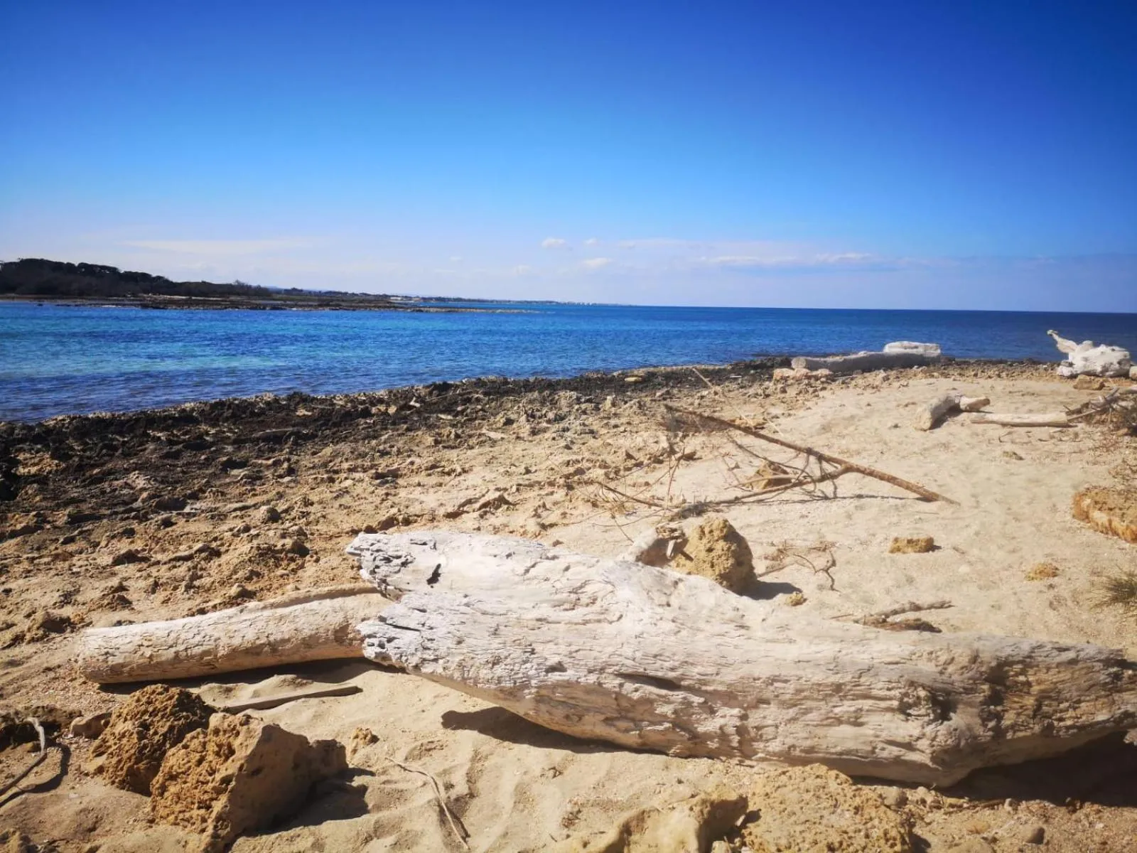 Natural landscape in Trullo Alessandro e Villa Raffaela