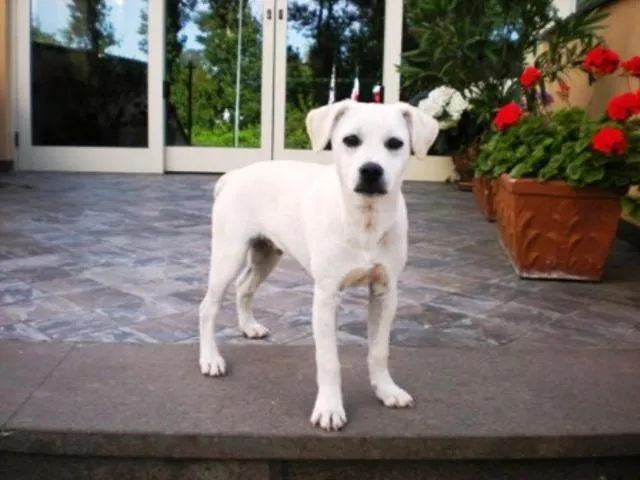 Other in Hotel Florida Tirrenia