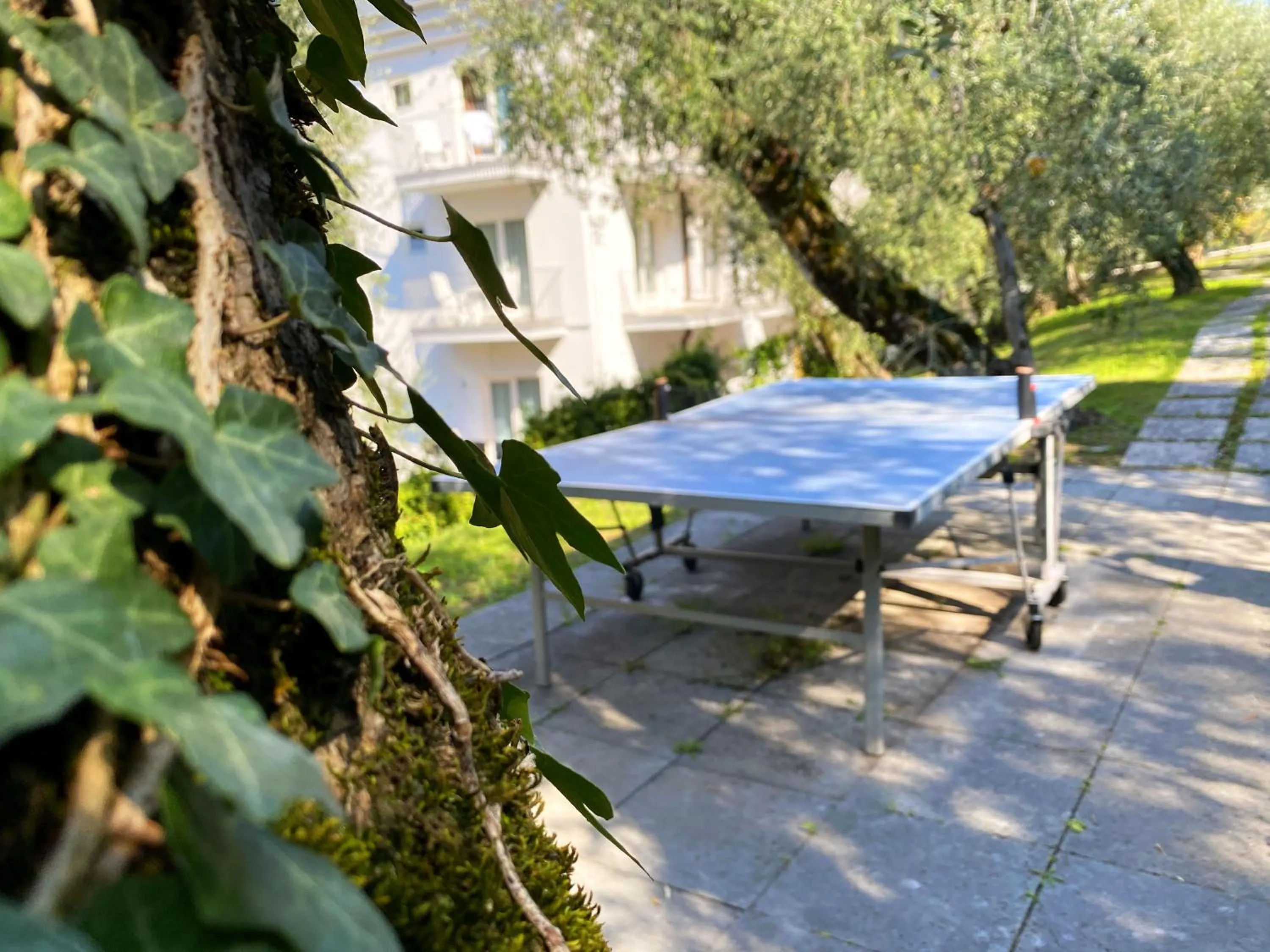 Table tennis in Hotel Capri