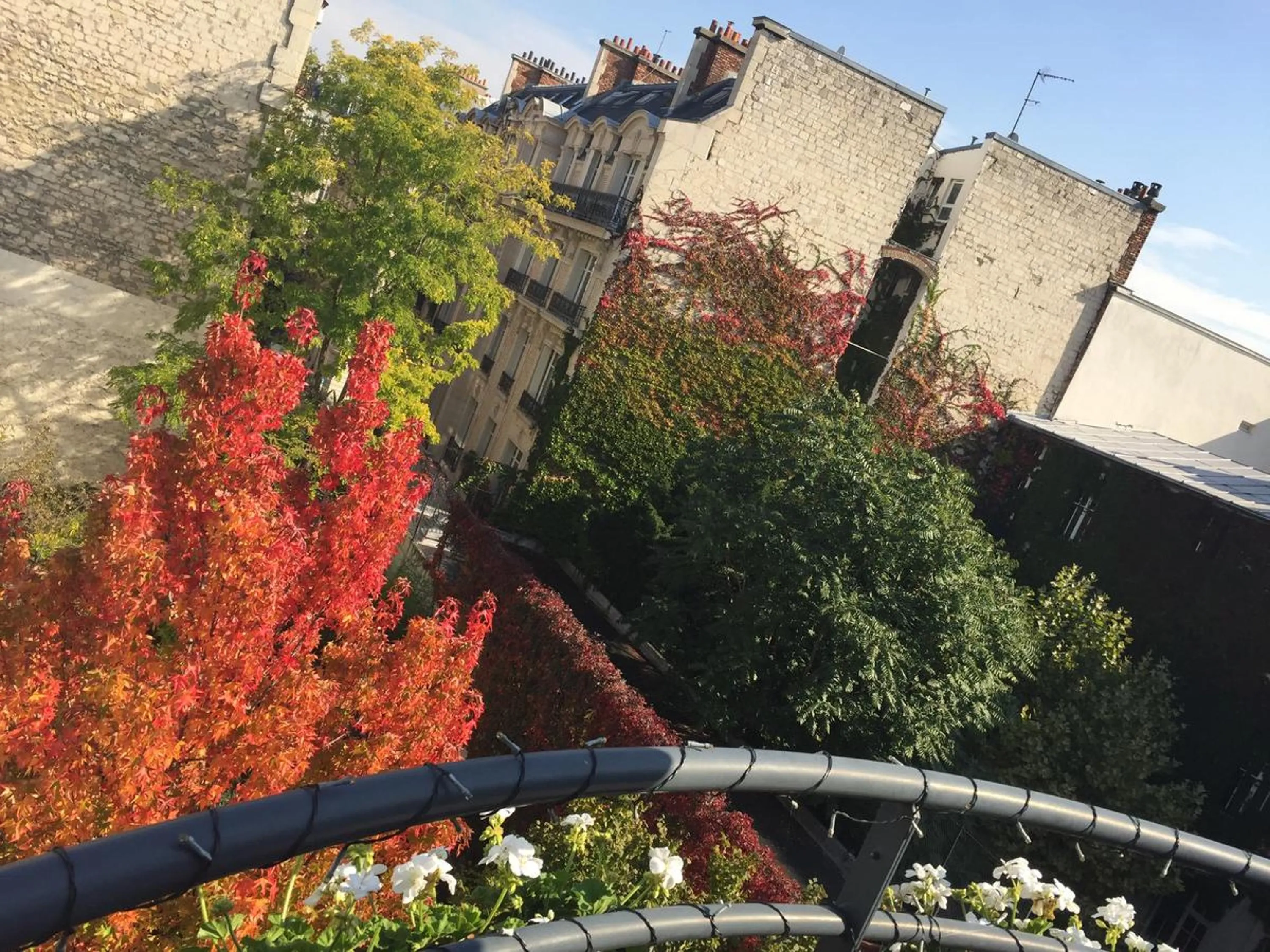 Balcony/Terrace in 52 Clichy Bed & Breakfast - Chambre d'hôtes