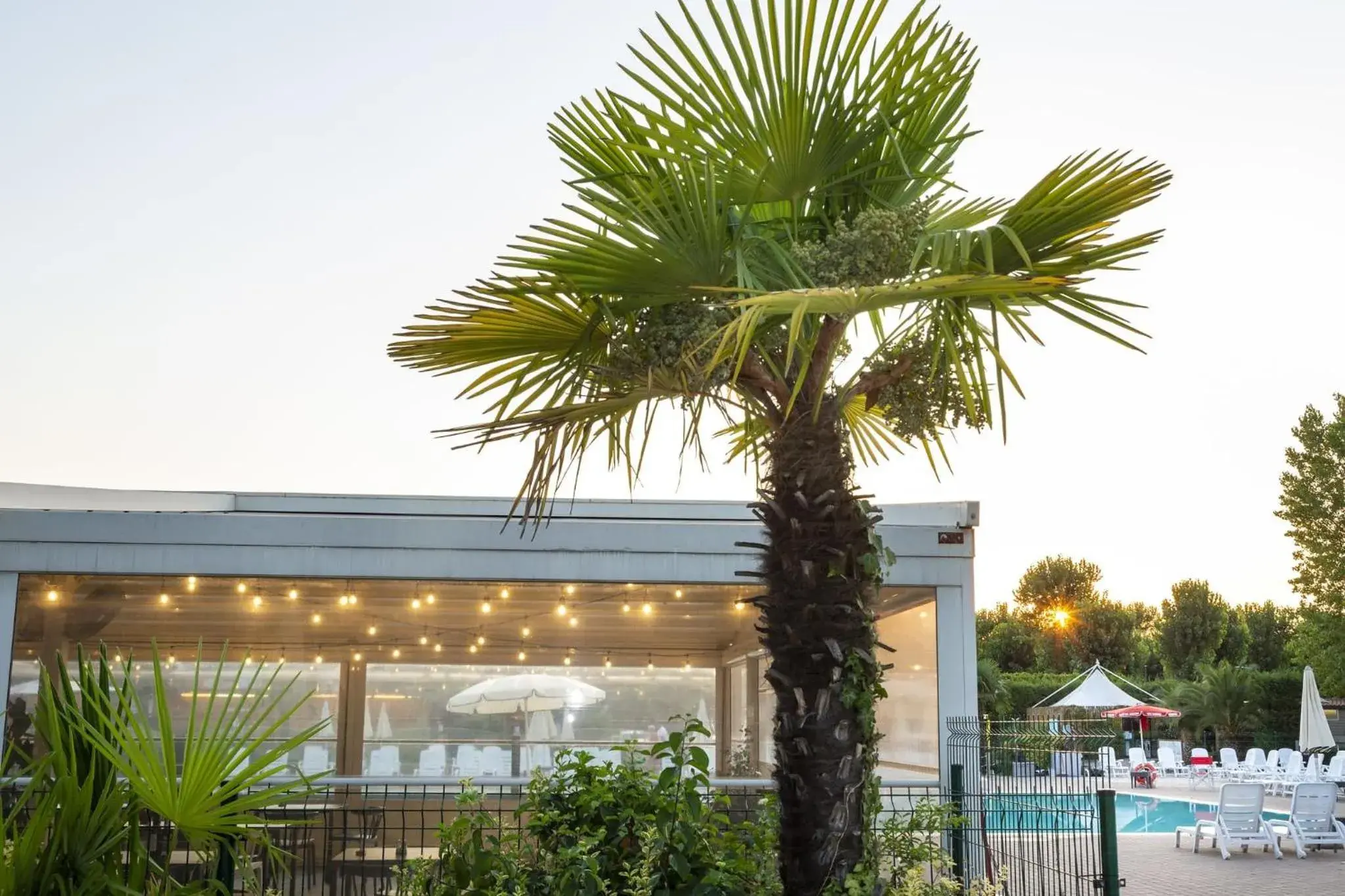 Restaurant/places to eat in hu Venezia Camping in Town Restaurant/places to eat in hu Venezia Camping in Town